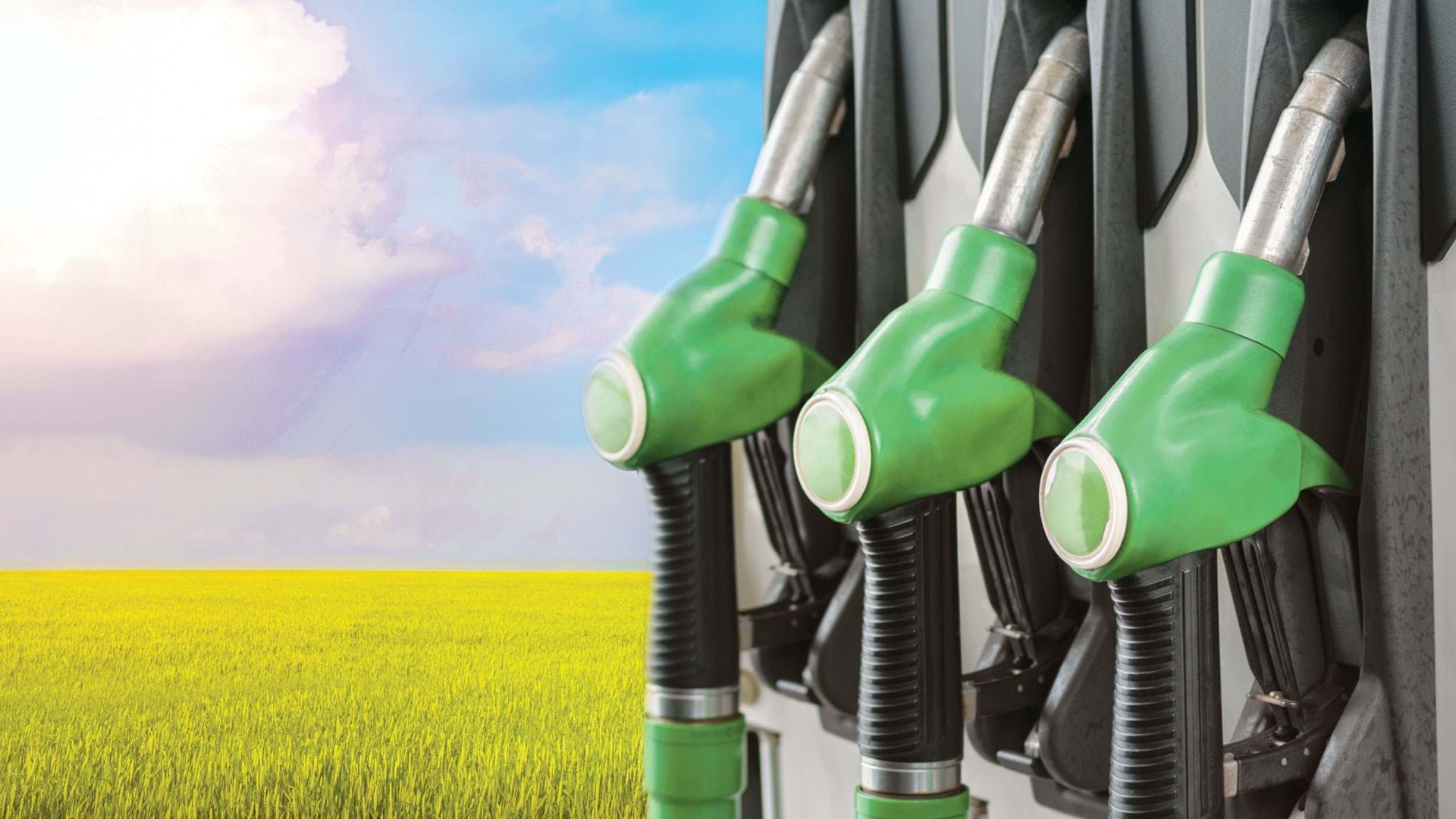1920x1080 The Role of Biofuels in Energy Transitions Chemical Engineer