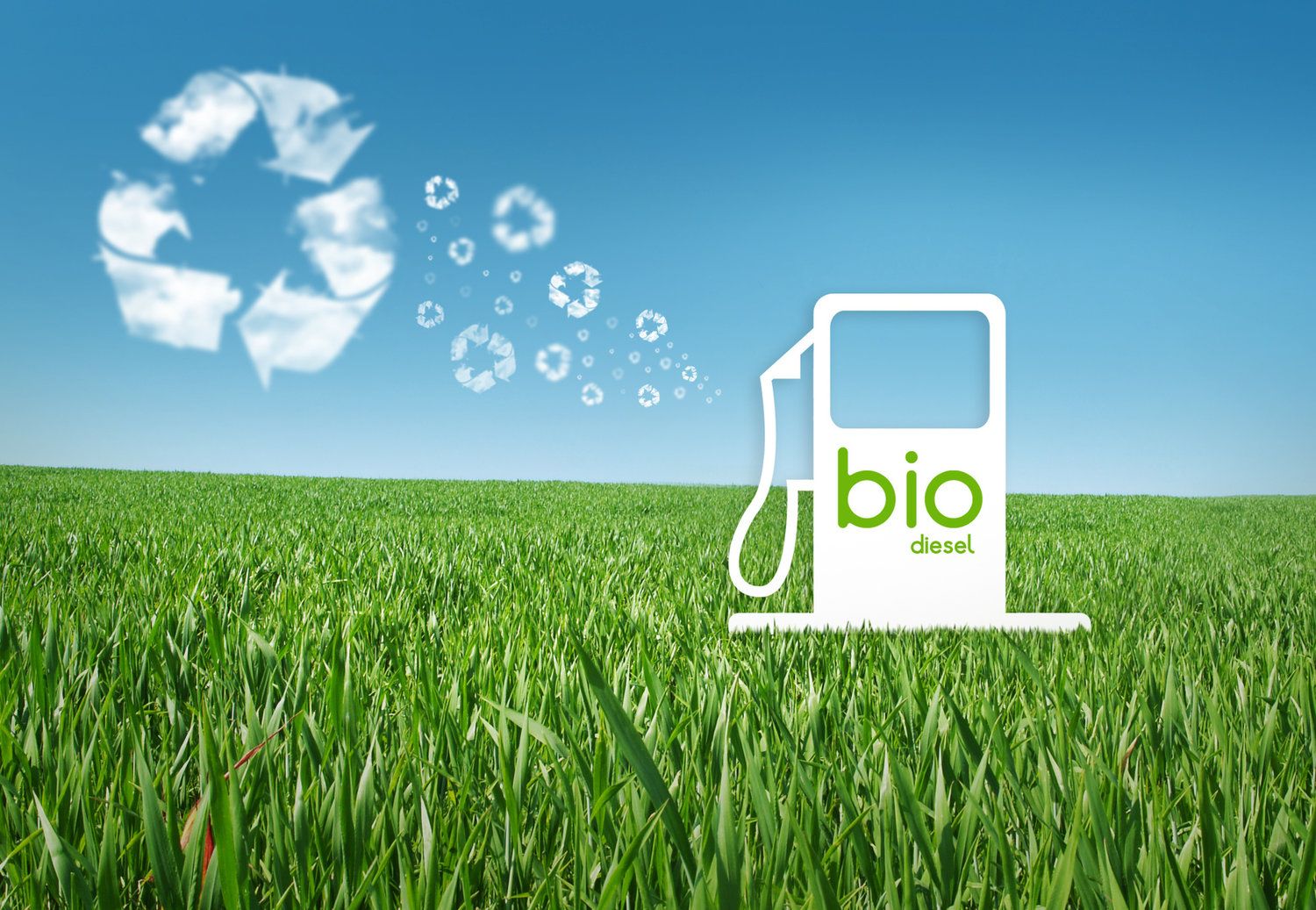 1500x1037 Biofuel Wallpaper