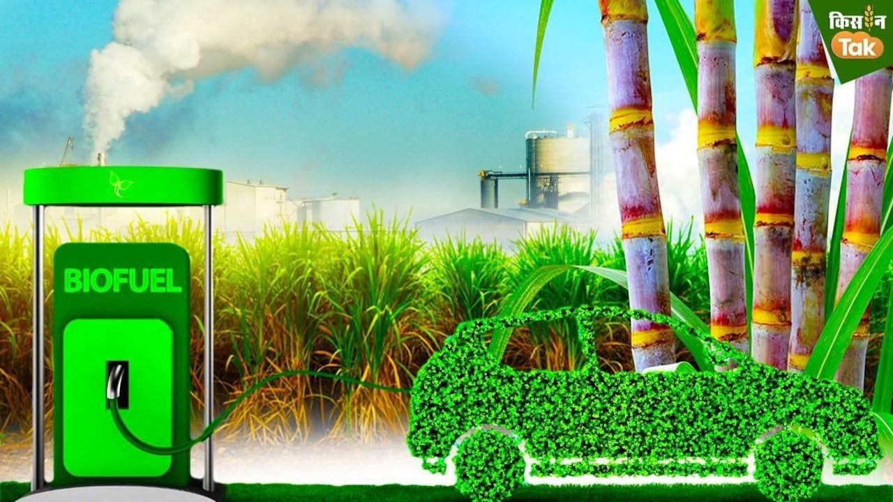 1280x720 Beyond ethanol success: What India must do next to secure its energy future
