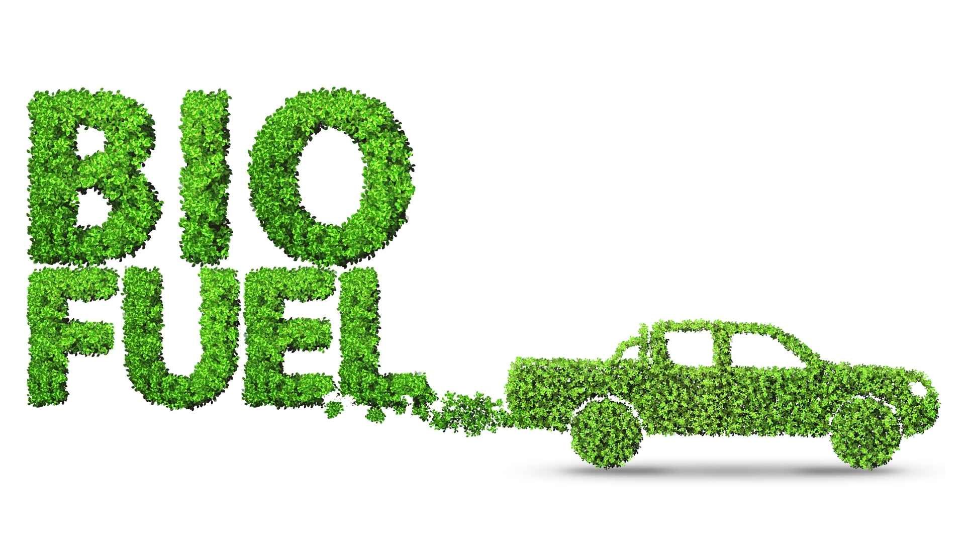 1920x1080 Navigating the biofuels industry: Trends and opportunities