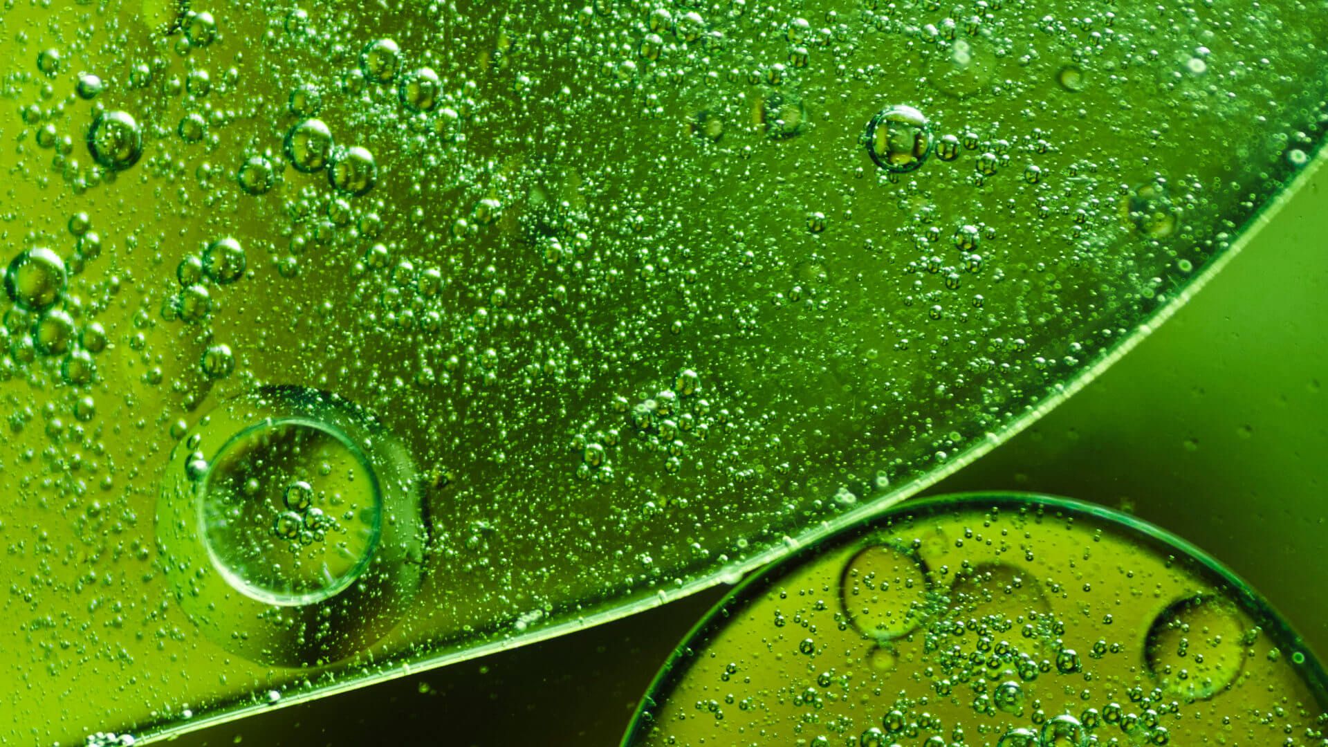 1920x1080 New Italian National Biofuel System: DM of August 2024