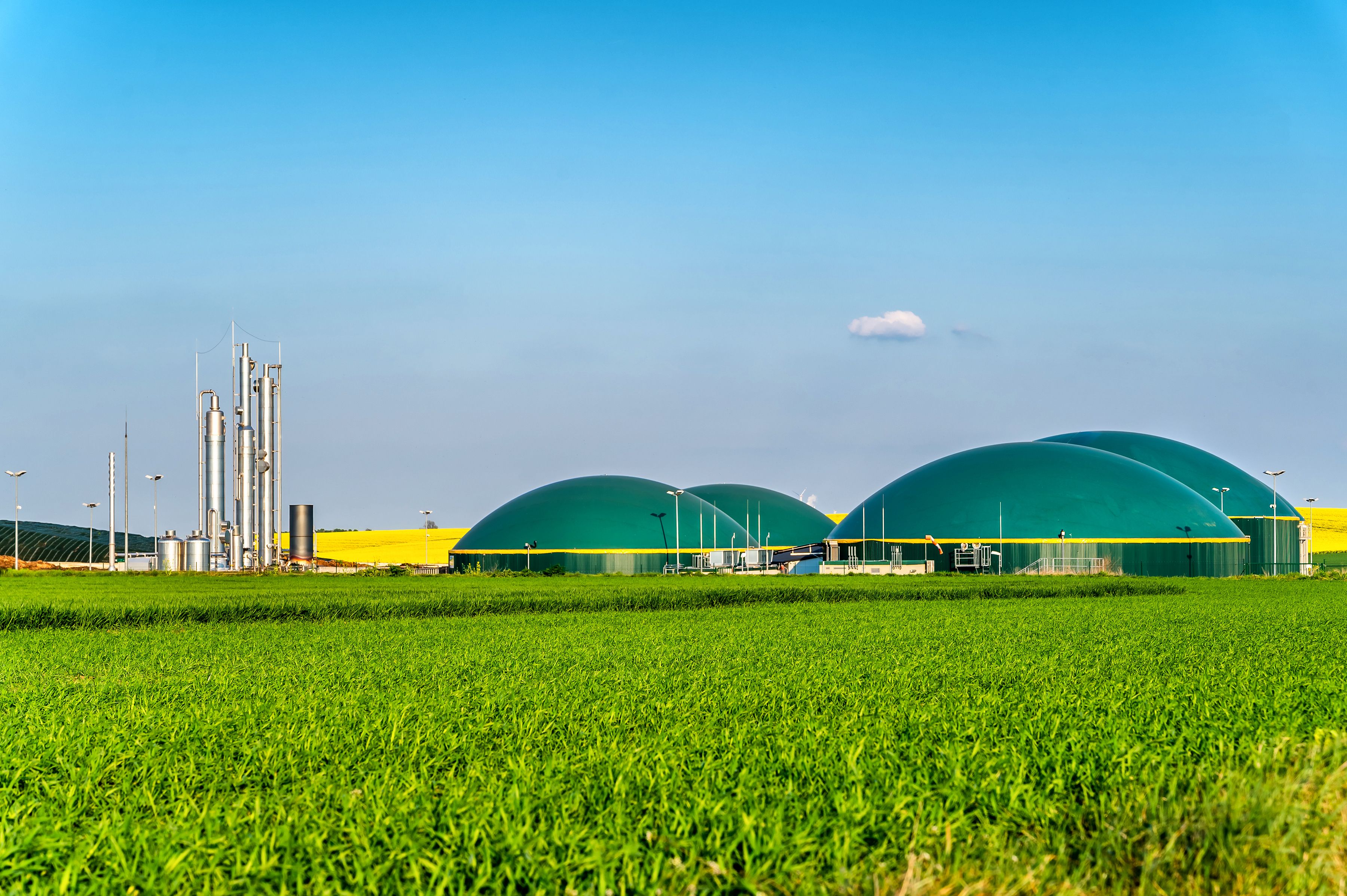 3600x2395 Biofuels