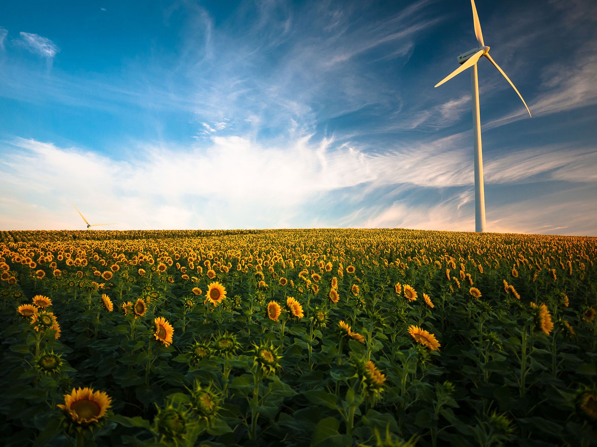 2000x1500 Biofuels