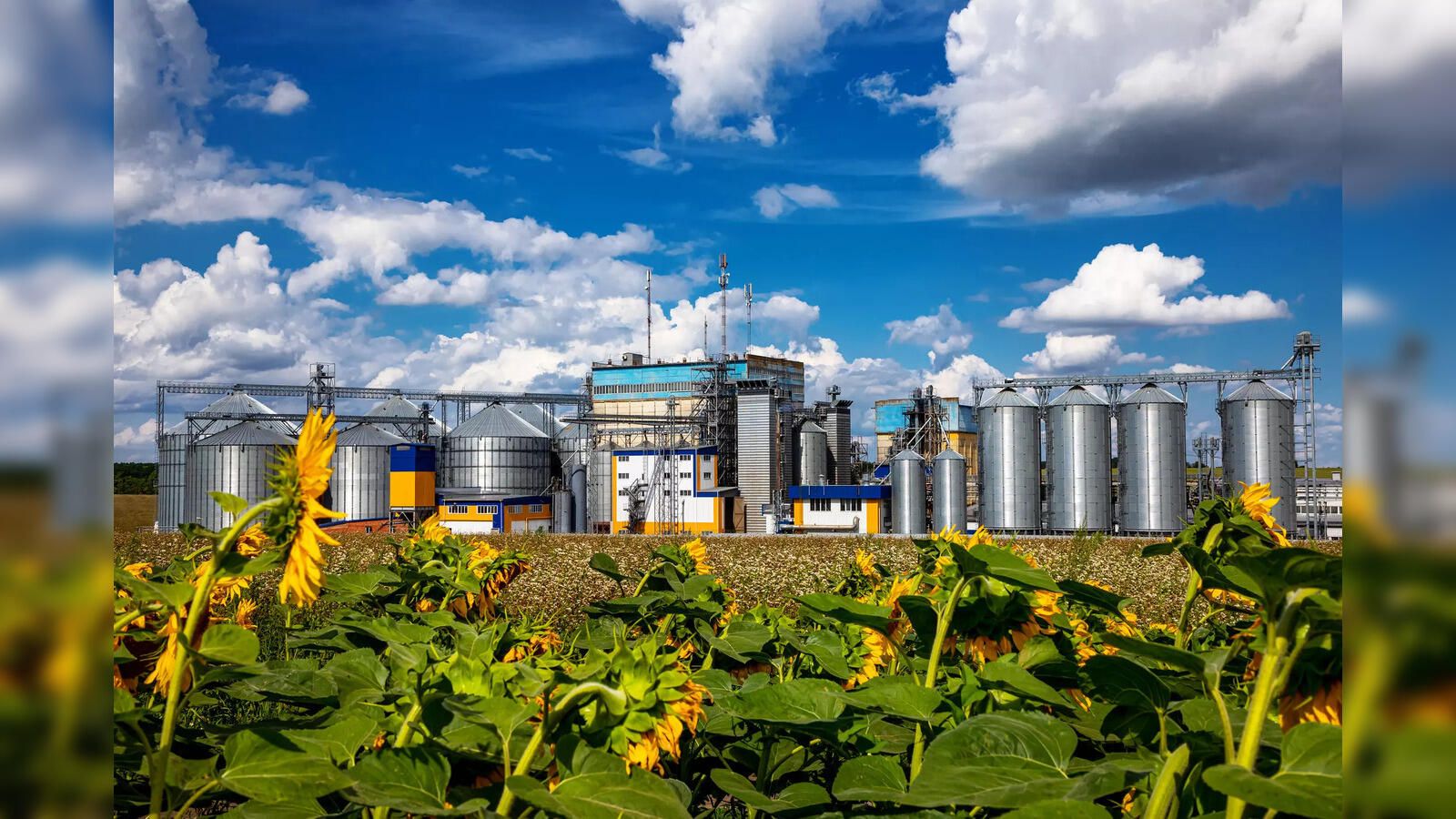 1600x900 Climate disruptions, biofuel policy again turn the heat on edible oil Economic Times