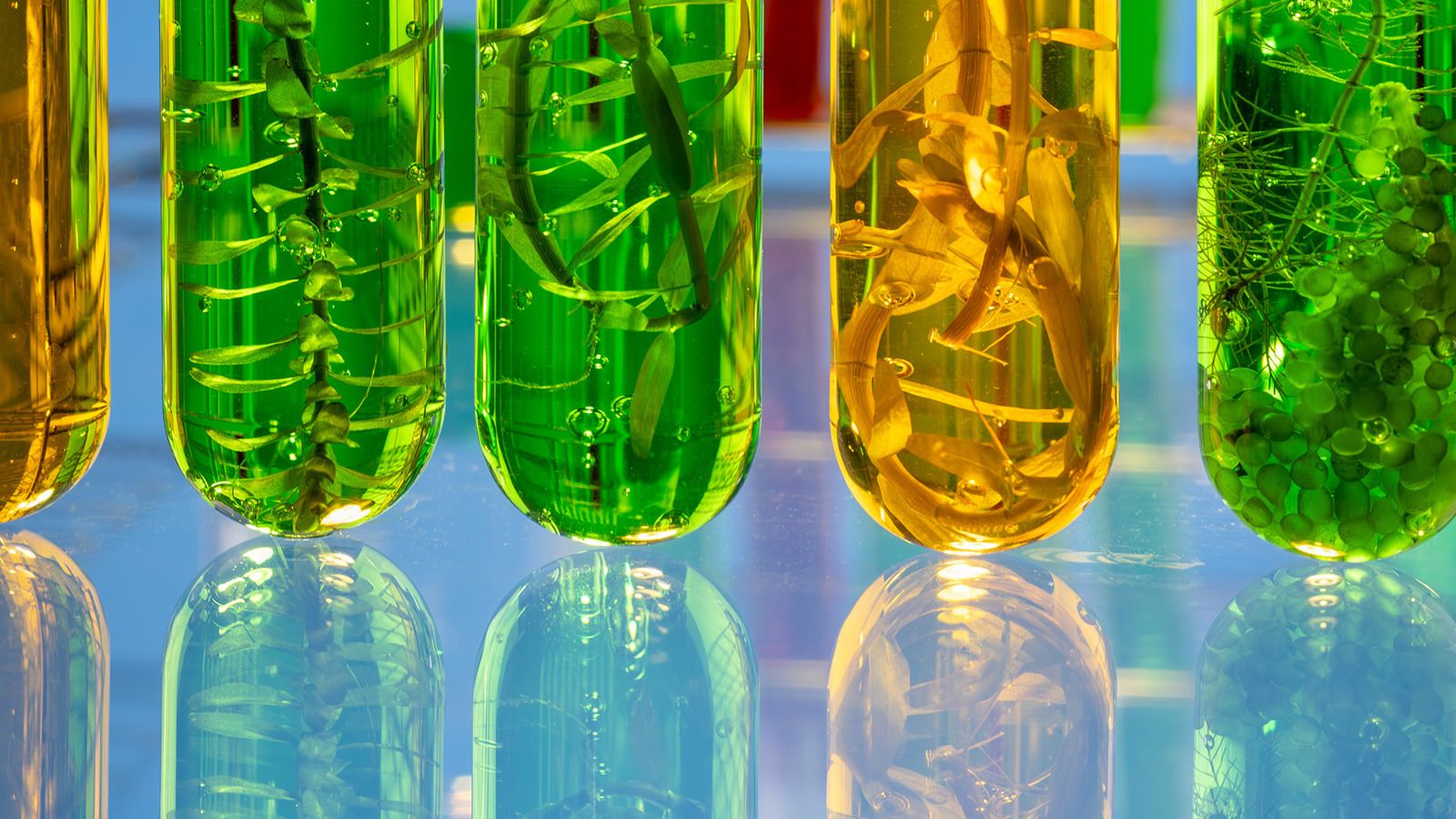 1600x900 BIMCO's Biofuels Clause for Time Charter Parties is progressing