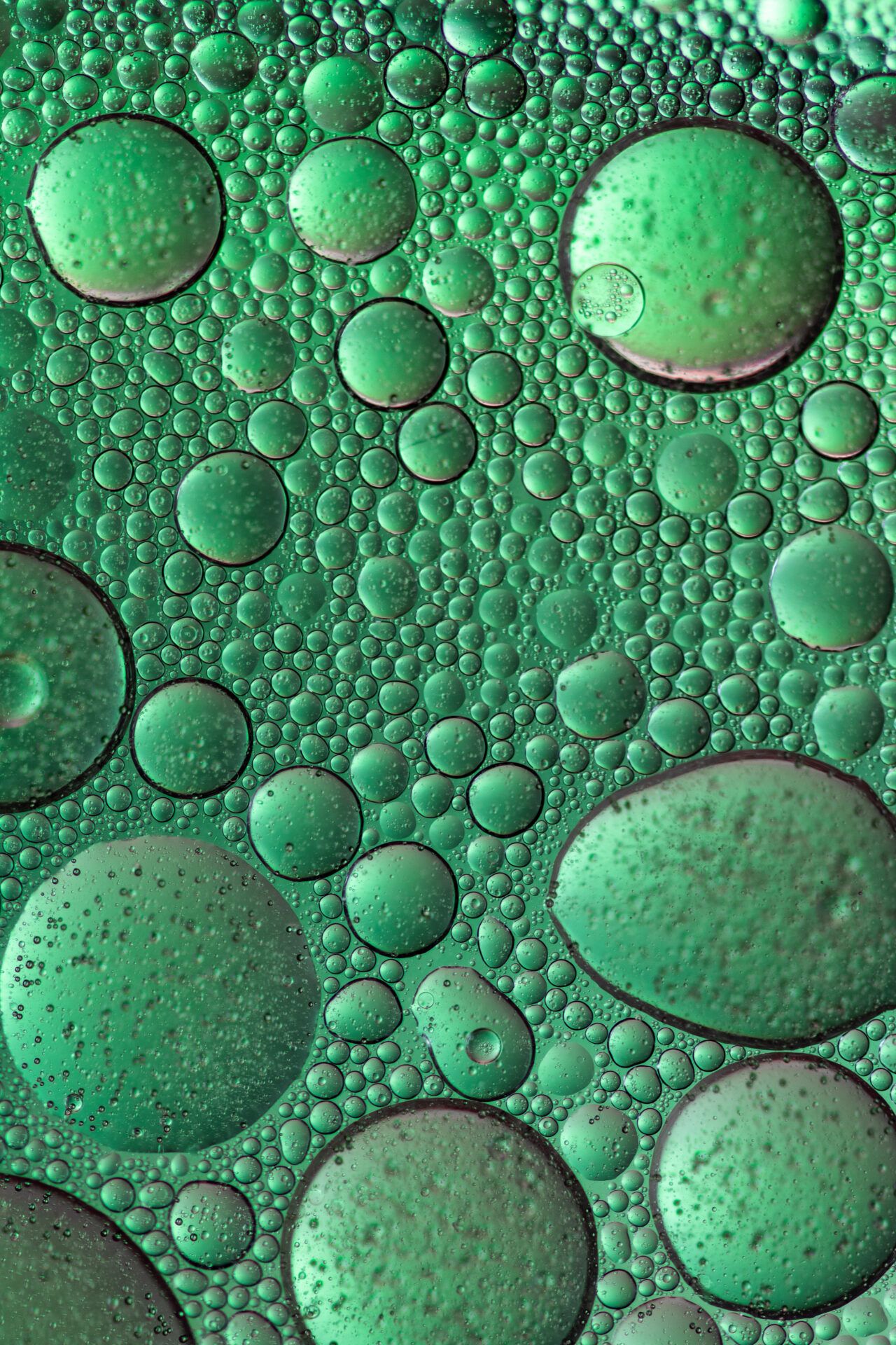 1280x1920 Biofuels