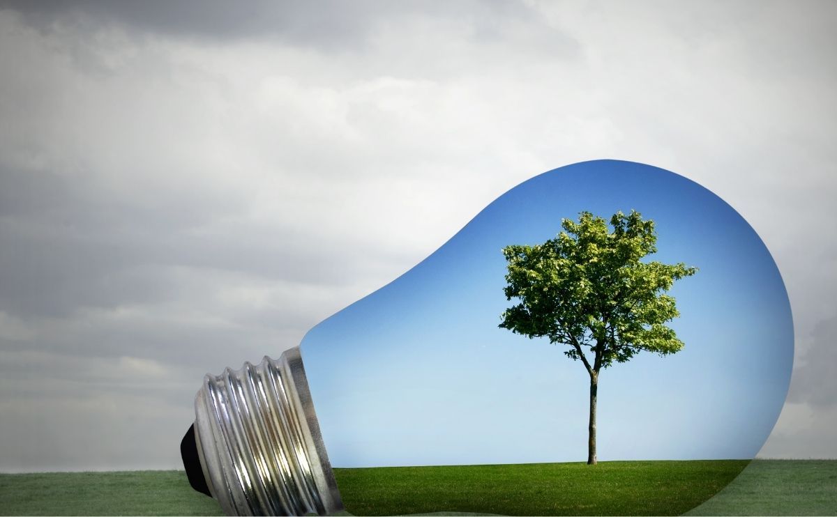 1200x742 Bio Fuel Equipment Is Positively Steer The Future Of Energy