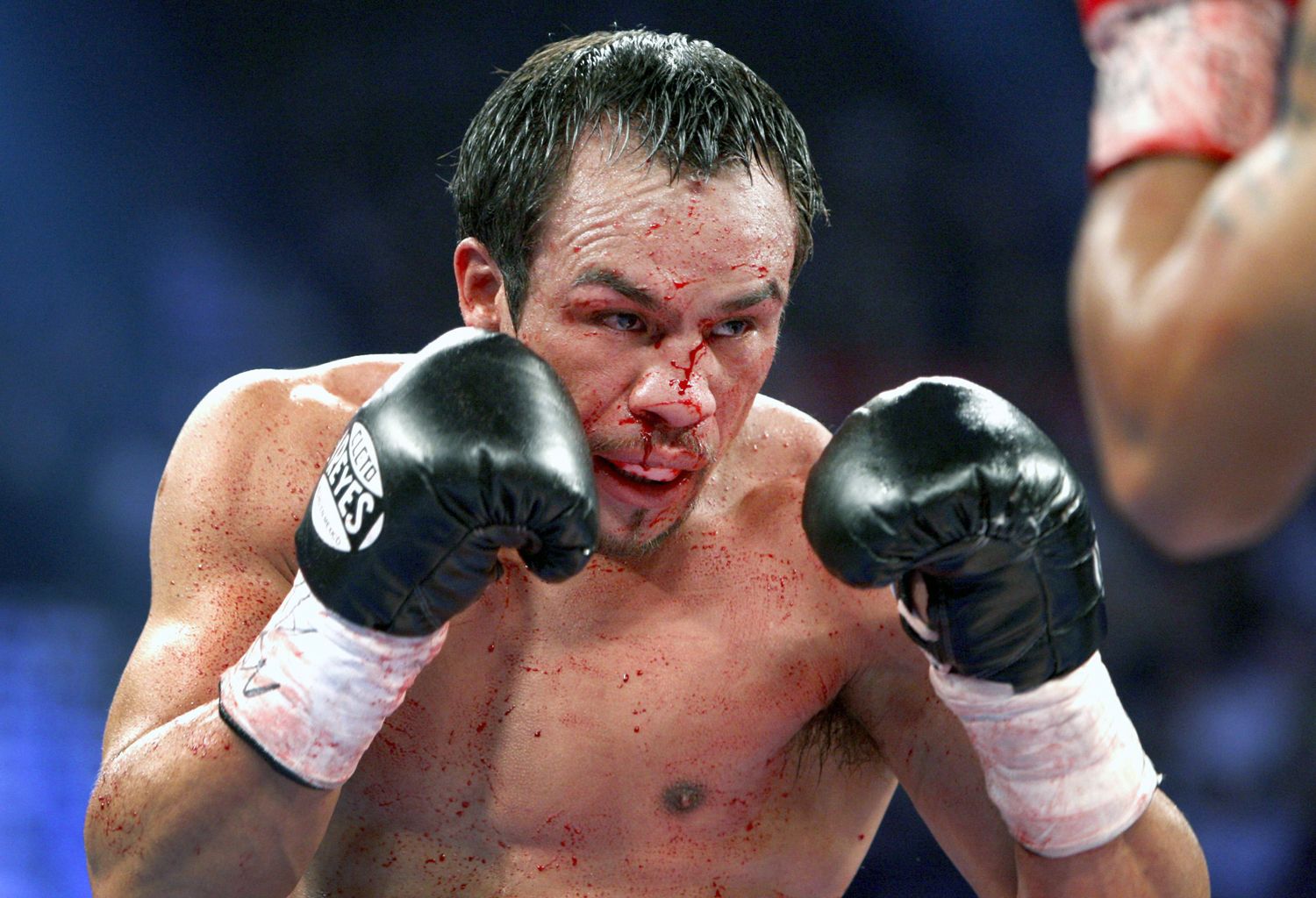 1500x1024 Ferocious fight ends in a knockout: Marquez v. Pacquiao
