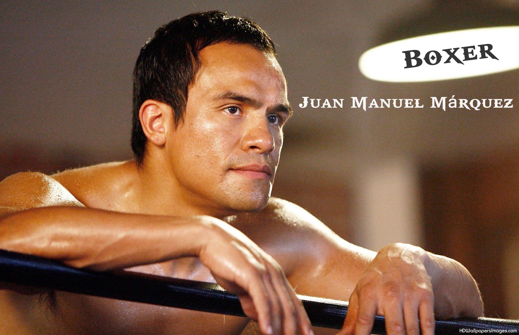 1800x1161 Juan Manuel Marquez Quotes. QuotesGram