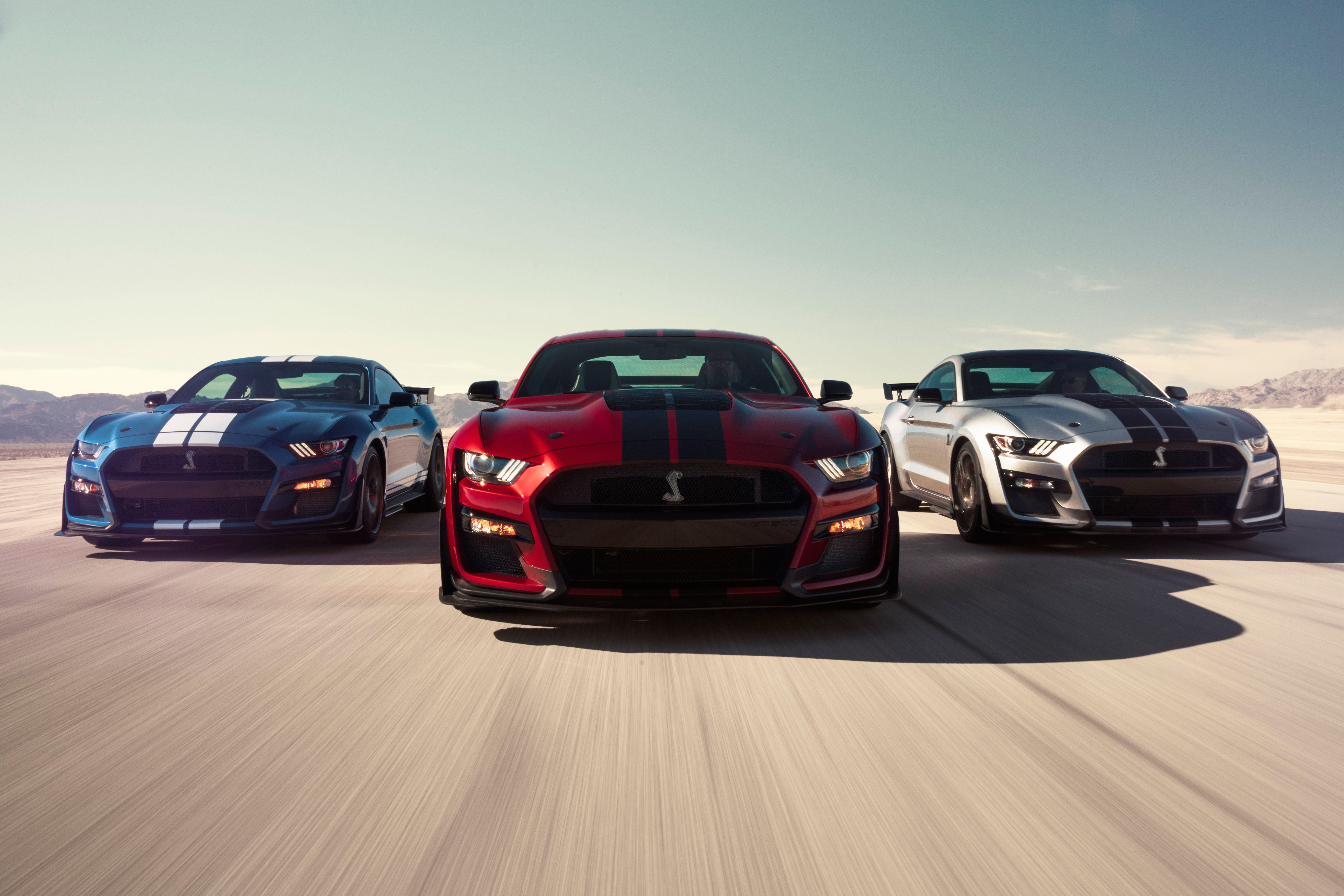 7952x5304 Ford Mustang Shelby GT500 8k, HD Cars, 4k Wallpaper, Image, Background, Photo and Picture