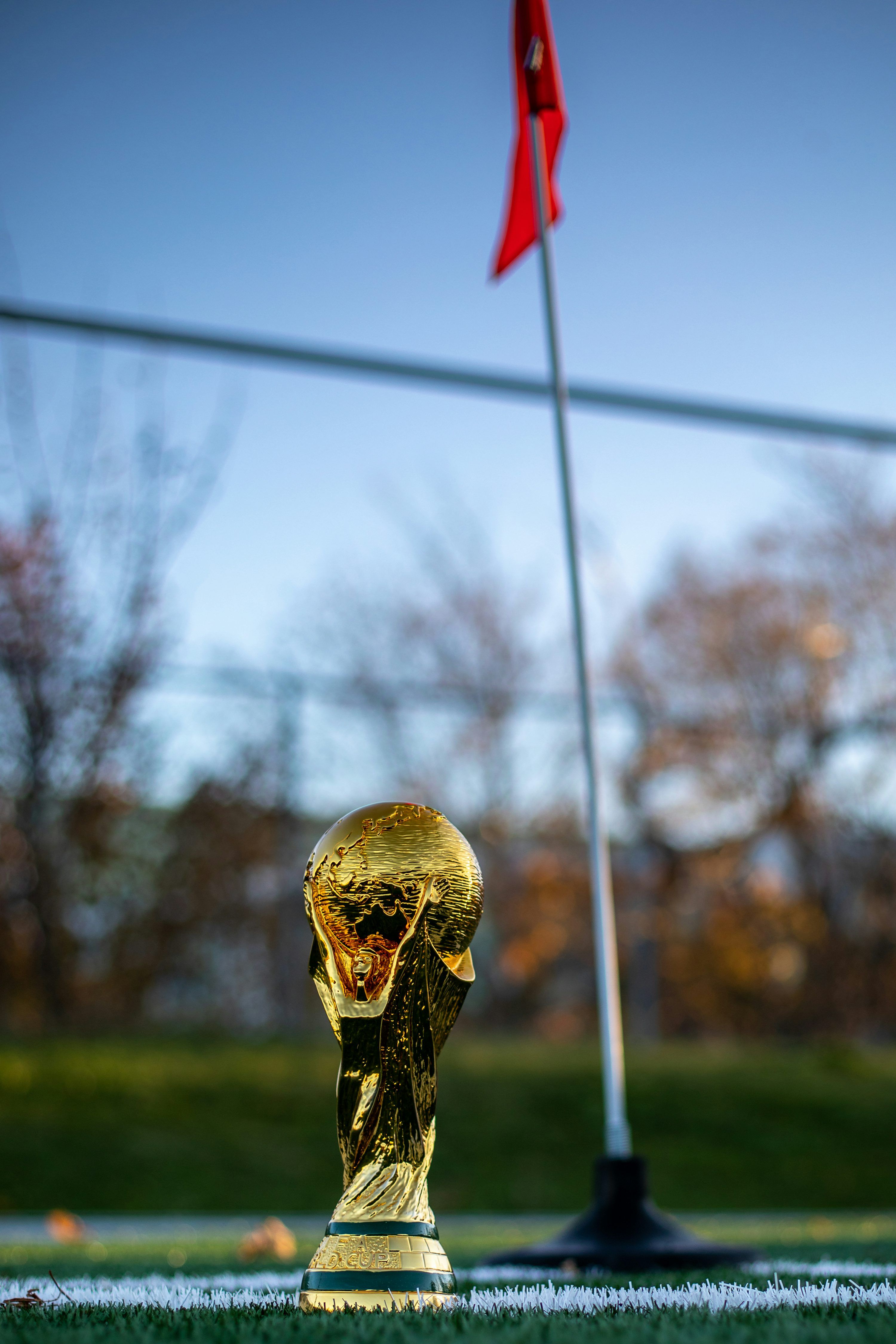 3000x4500 World Cup Trophy Picture. Download Free Image