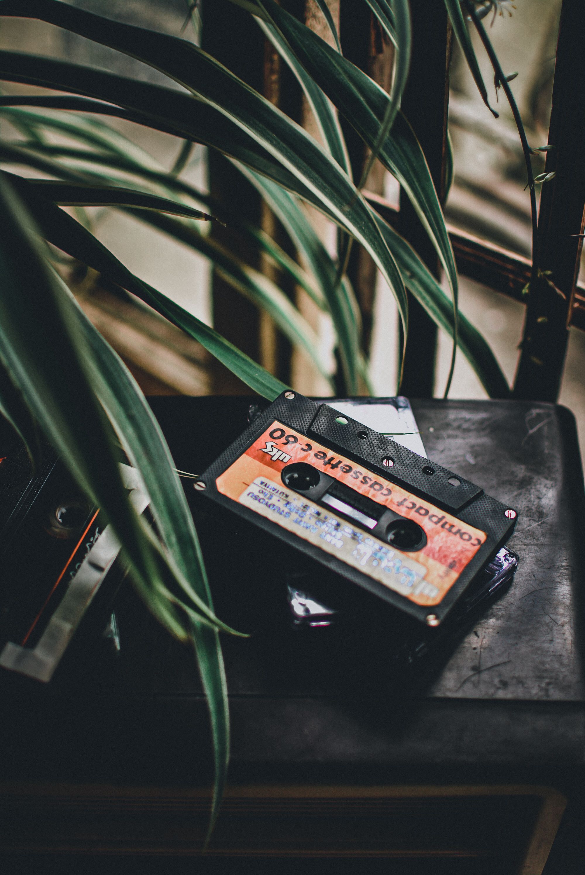 2000x2992 Cassette Tapes Beside the Green leaves · Free