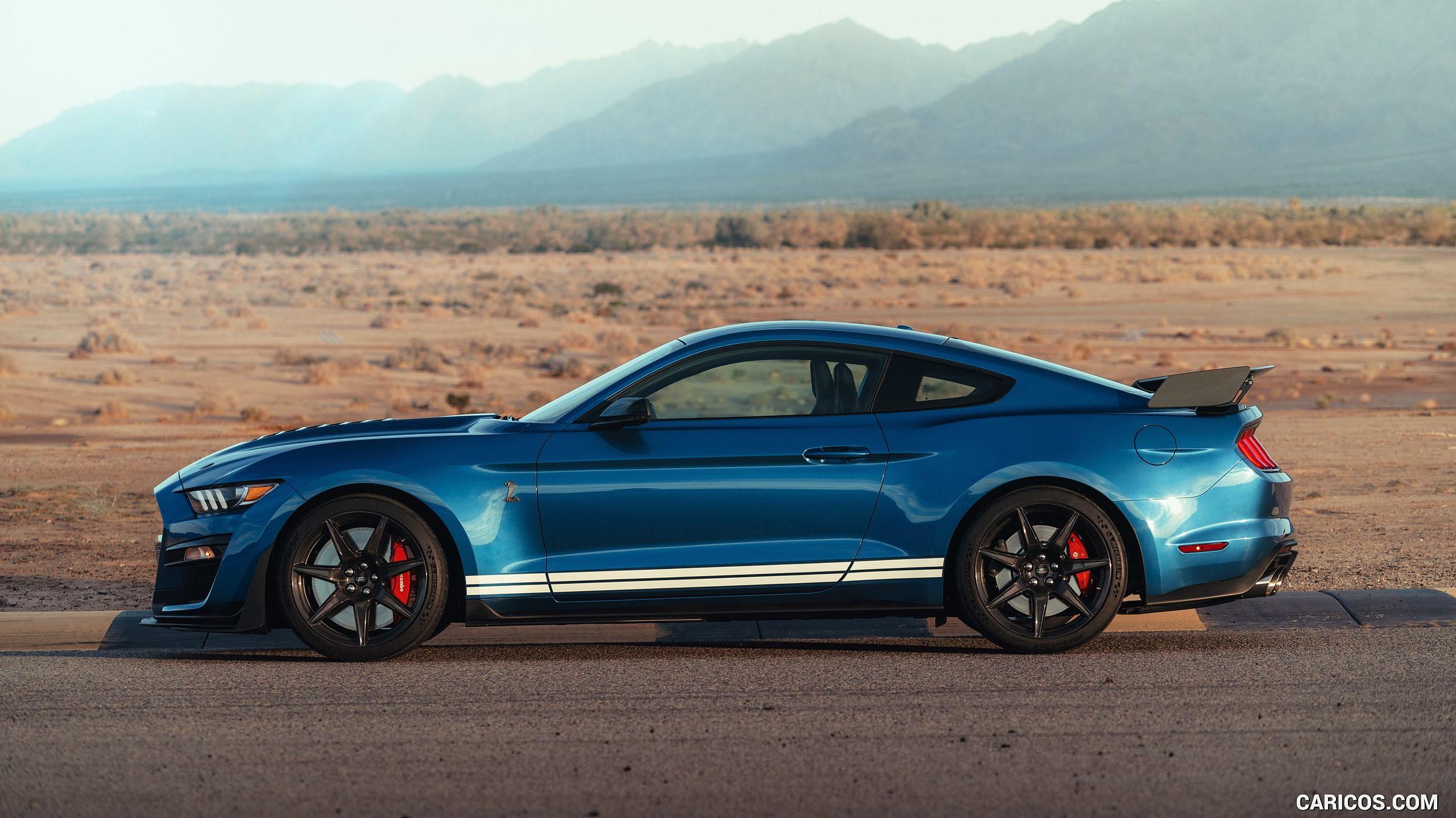 2560x1440 Ford Mustang Shelby GT500. HD Wallpaper