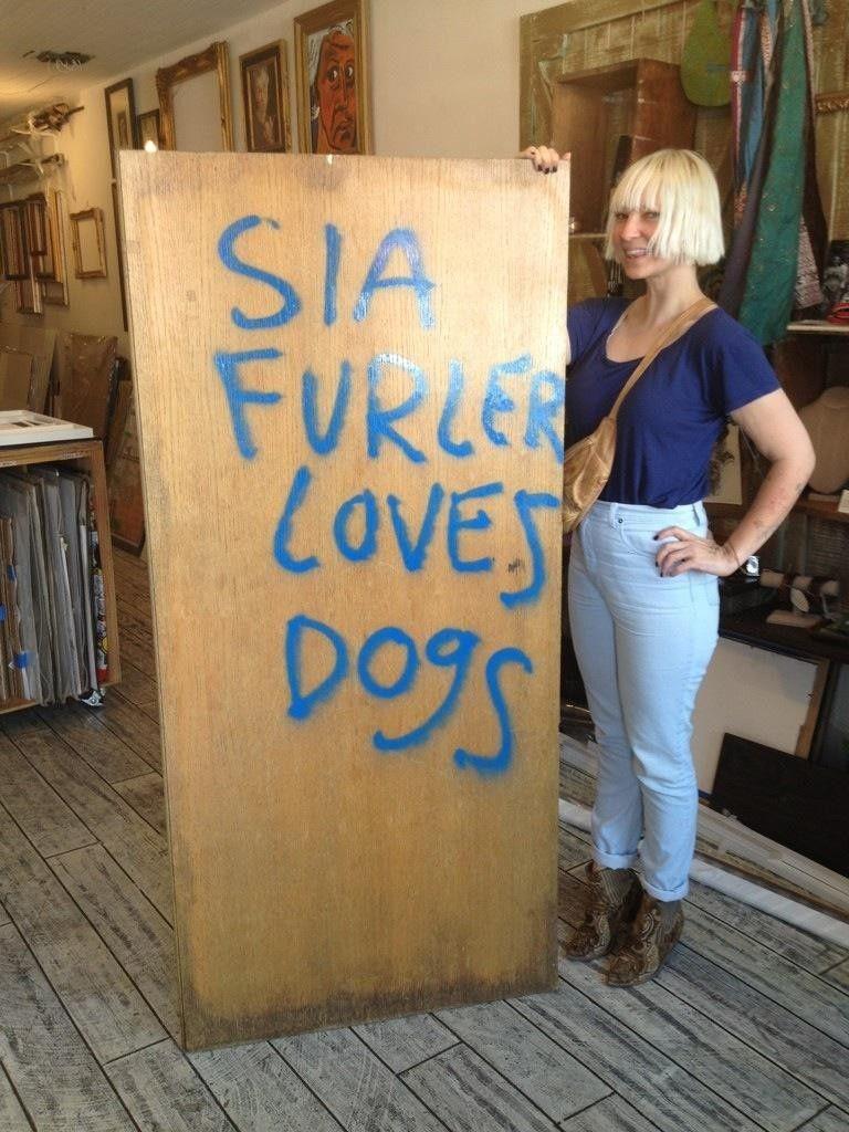 768x1024 Sia Furler wallpaper