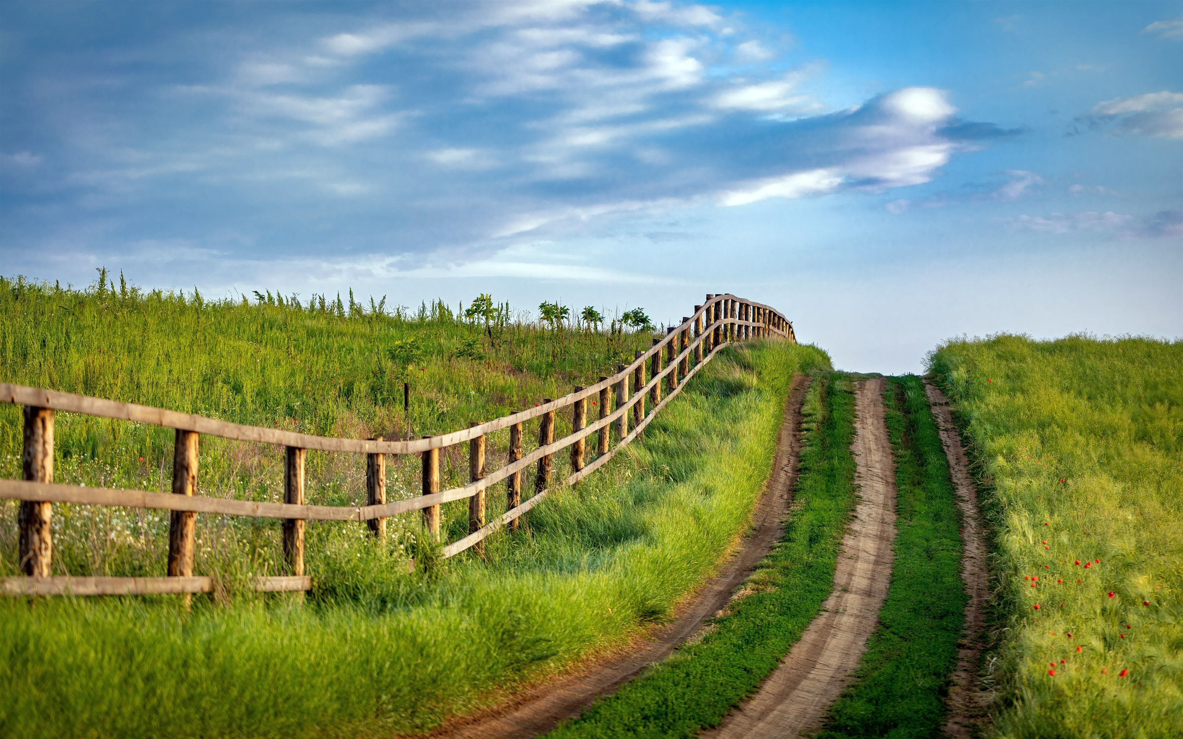 3840x2400 USA Countryside Grass Road Nature Landscape 5K