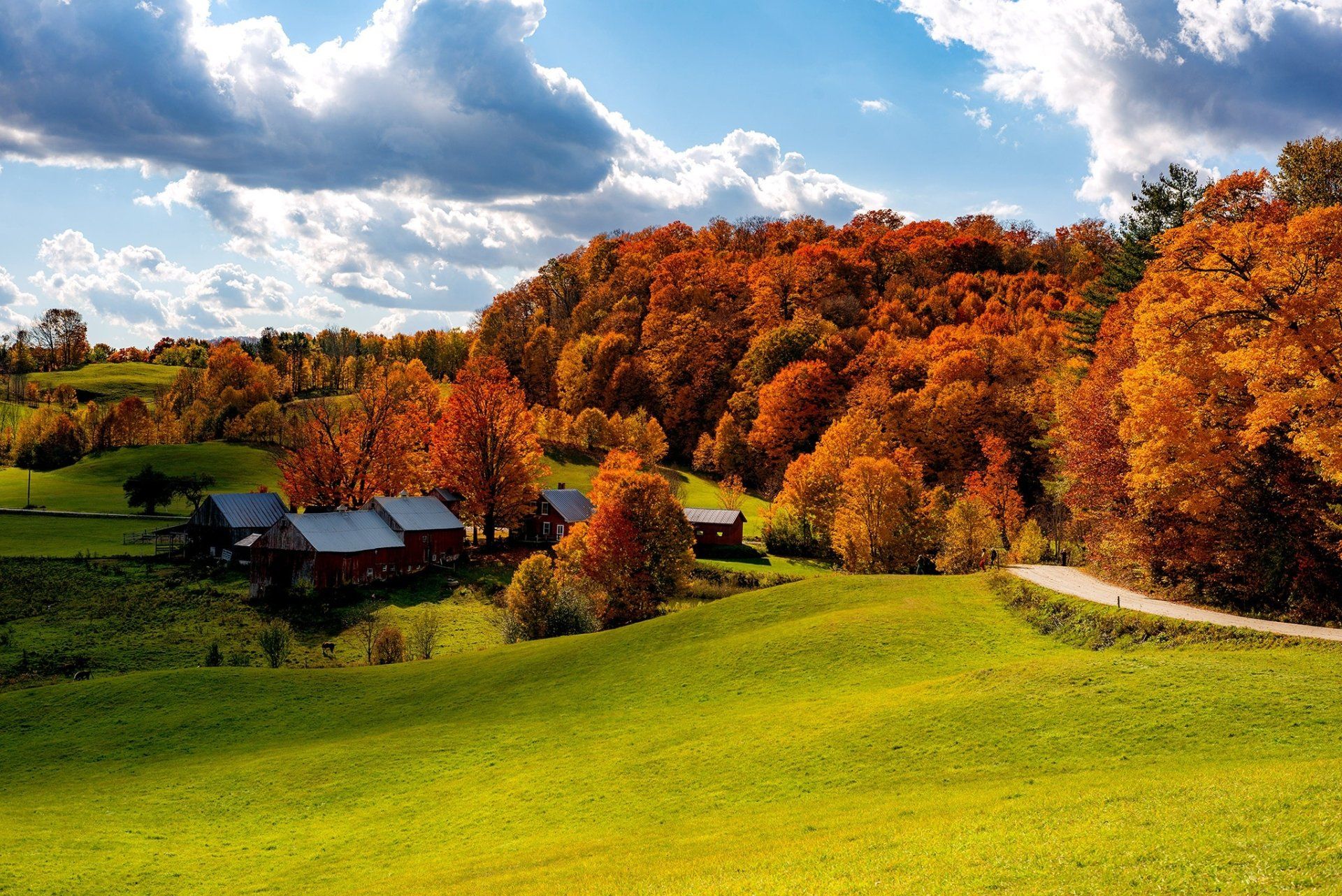 1920x1282 Download House Cloud Sun Sky Forest Field Road Vermont USA Photography Fall HD Wallpaperx1367