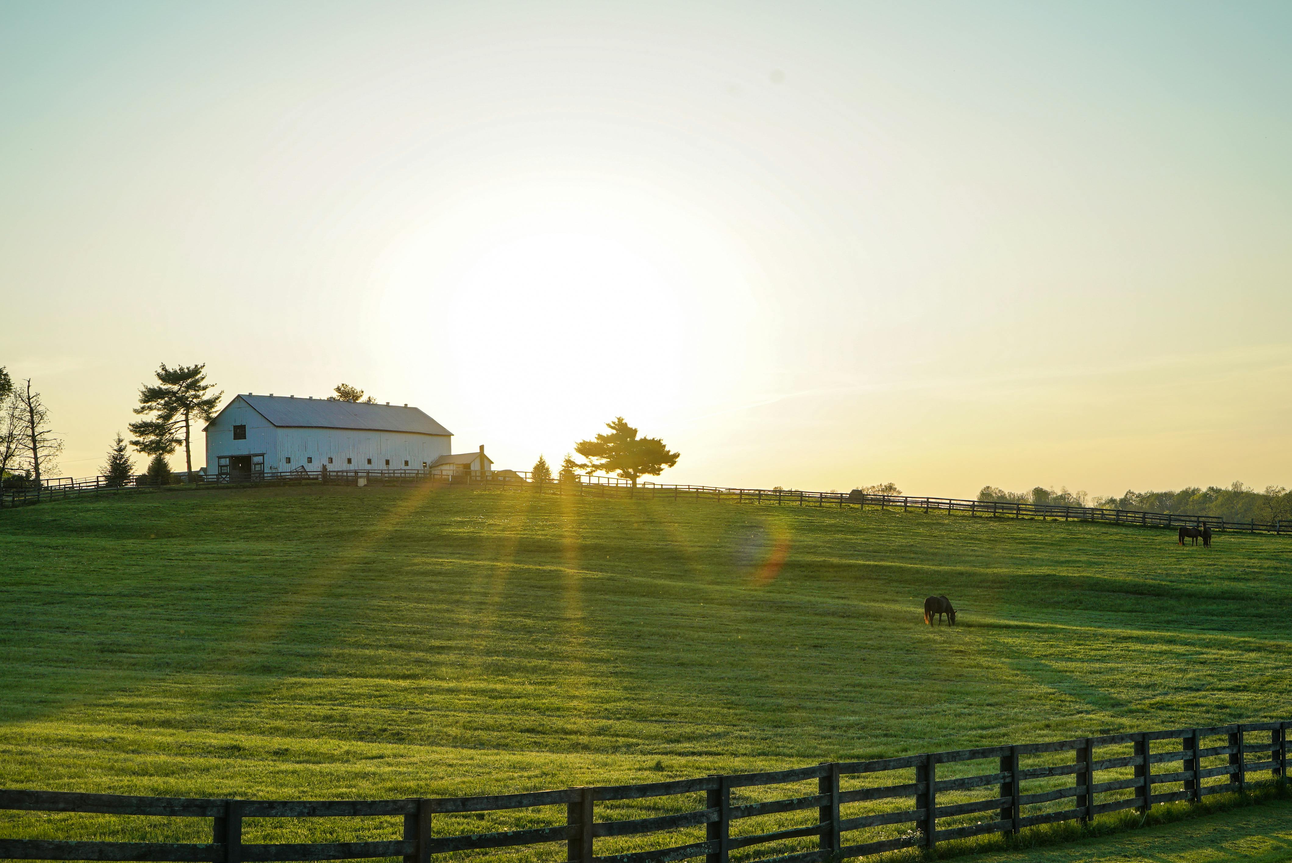 4240x2832 Kentucky Landscape Photo, Download The BEST Free Kentucky Landscape & HD Image