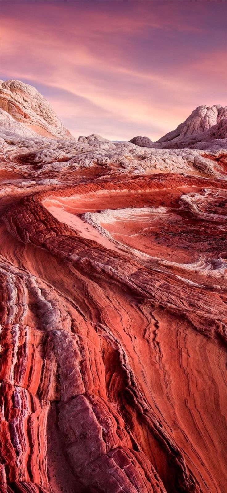 736x1593 USA Landscape Wallpaper