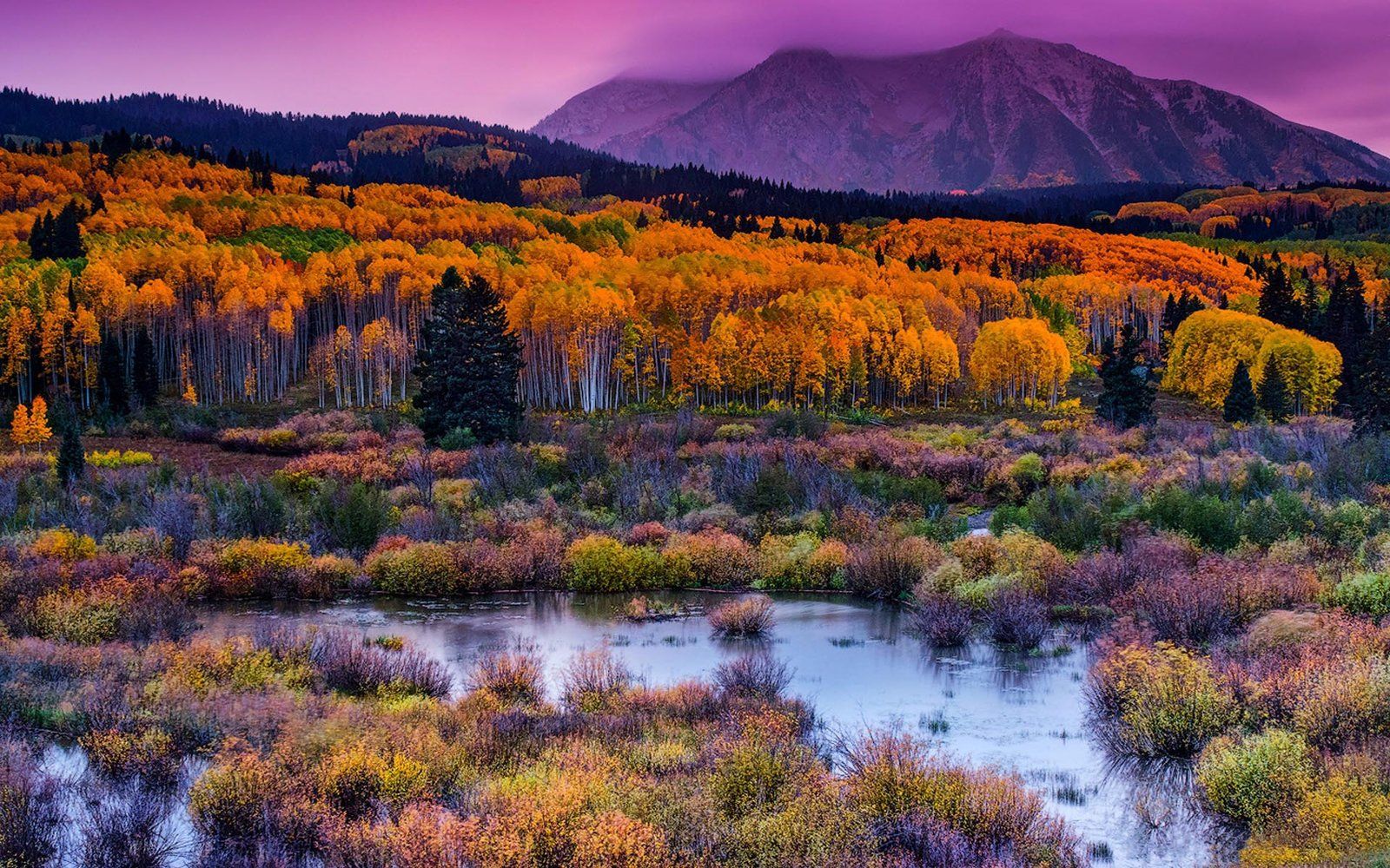 1600x1000 Mountain Kebler Pass A Colorado Usa Fall Nature Landscape Wallpaper HD :
