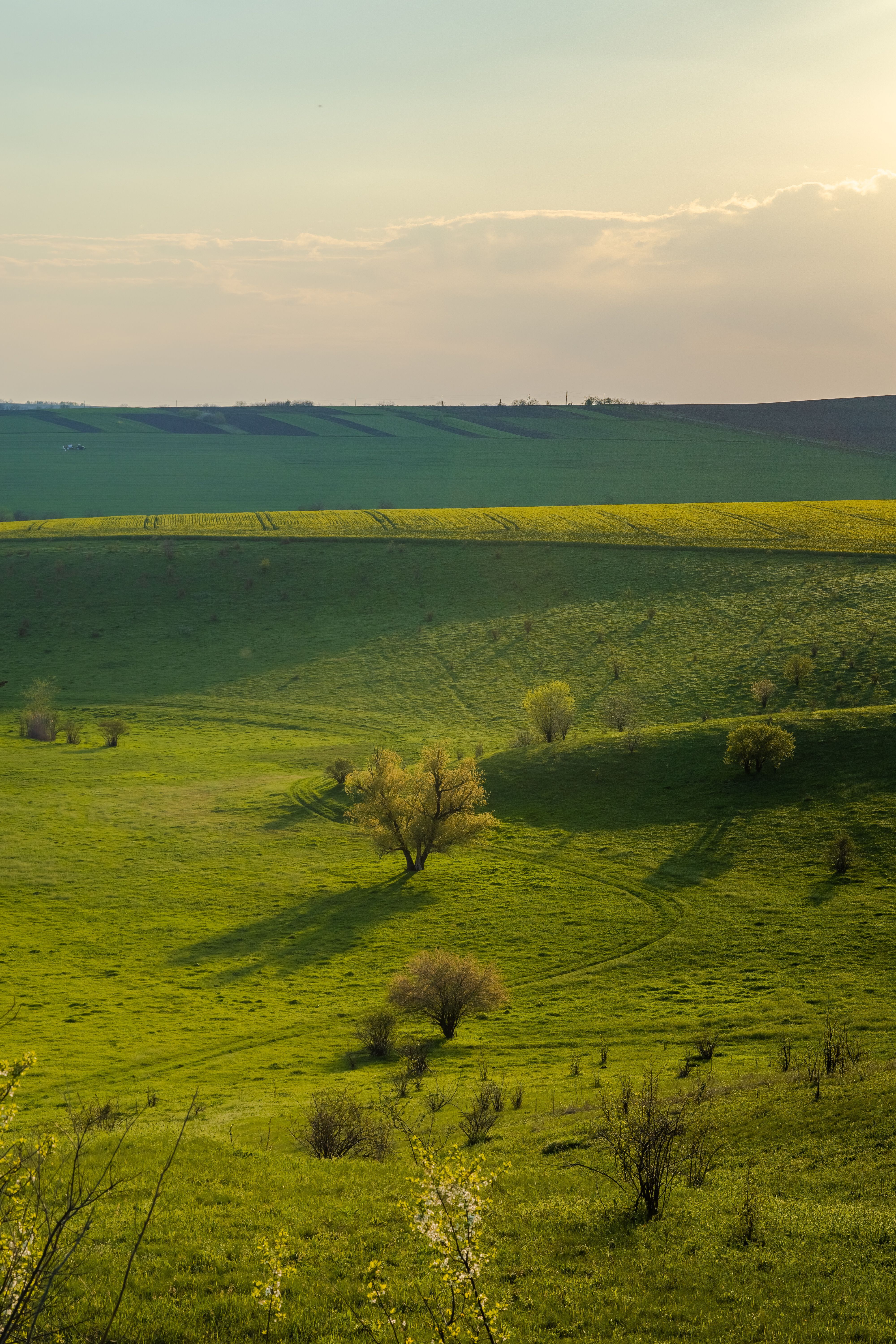 4000x6000 Countryside Photo, Download The BEST Free Countryside & HD Image