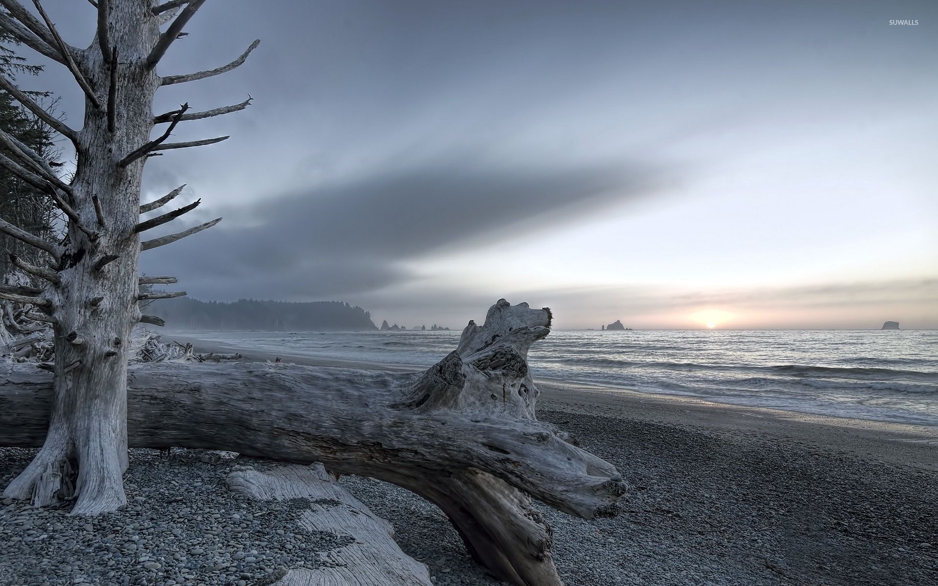 1920x1200 Cold sunset above the gray beach wallpaper wallpaper