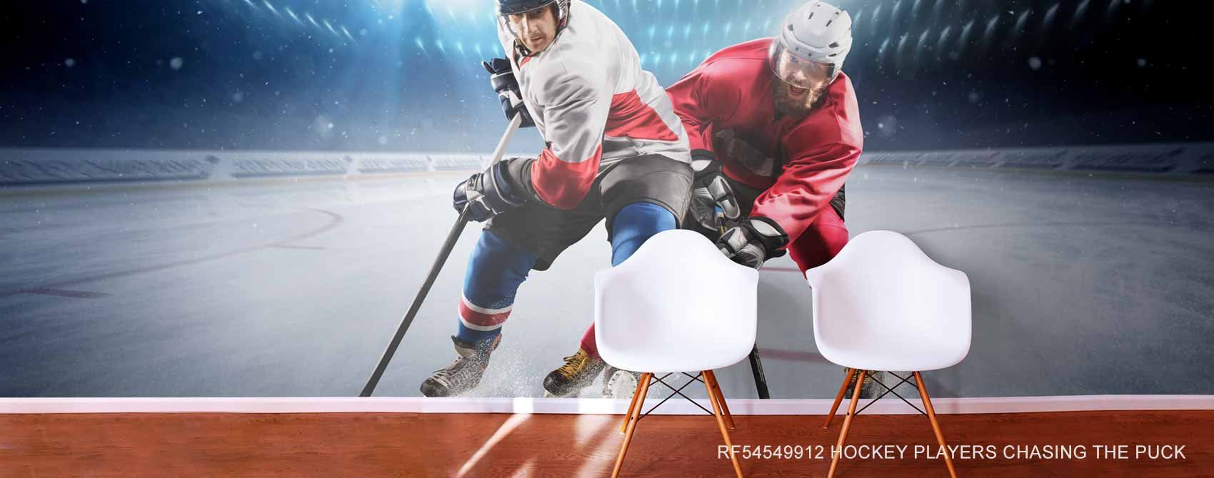 1700x670 Hockey Murals for Walls Your Way
