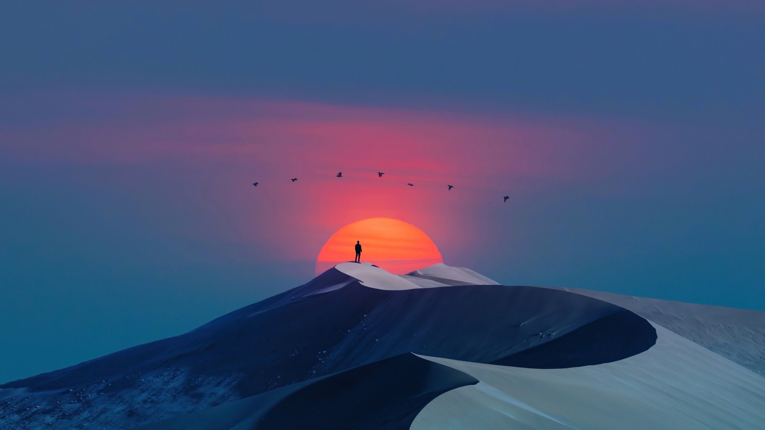 2560x1440 Desert Dune Artistic Sunset Colorful Minimalism Background 4K HD Minimalism Wallpaper