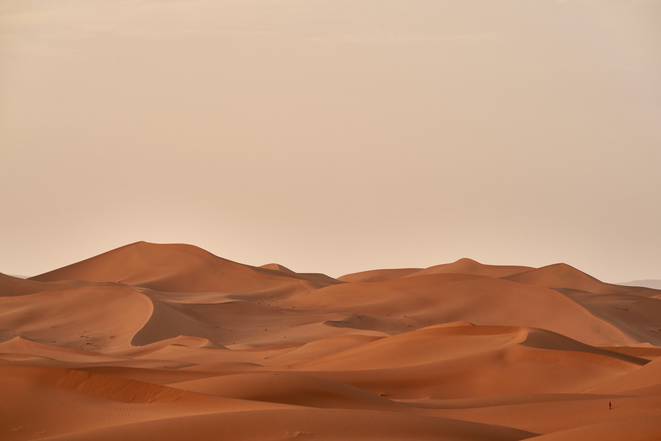 2560x1707 For the Church. Dune: A Reflection