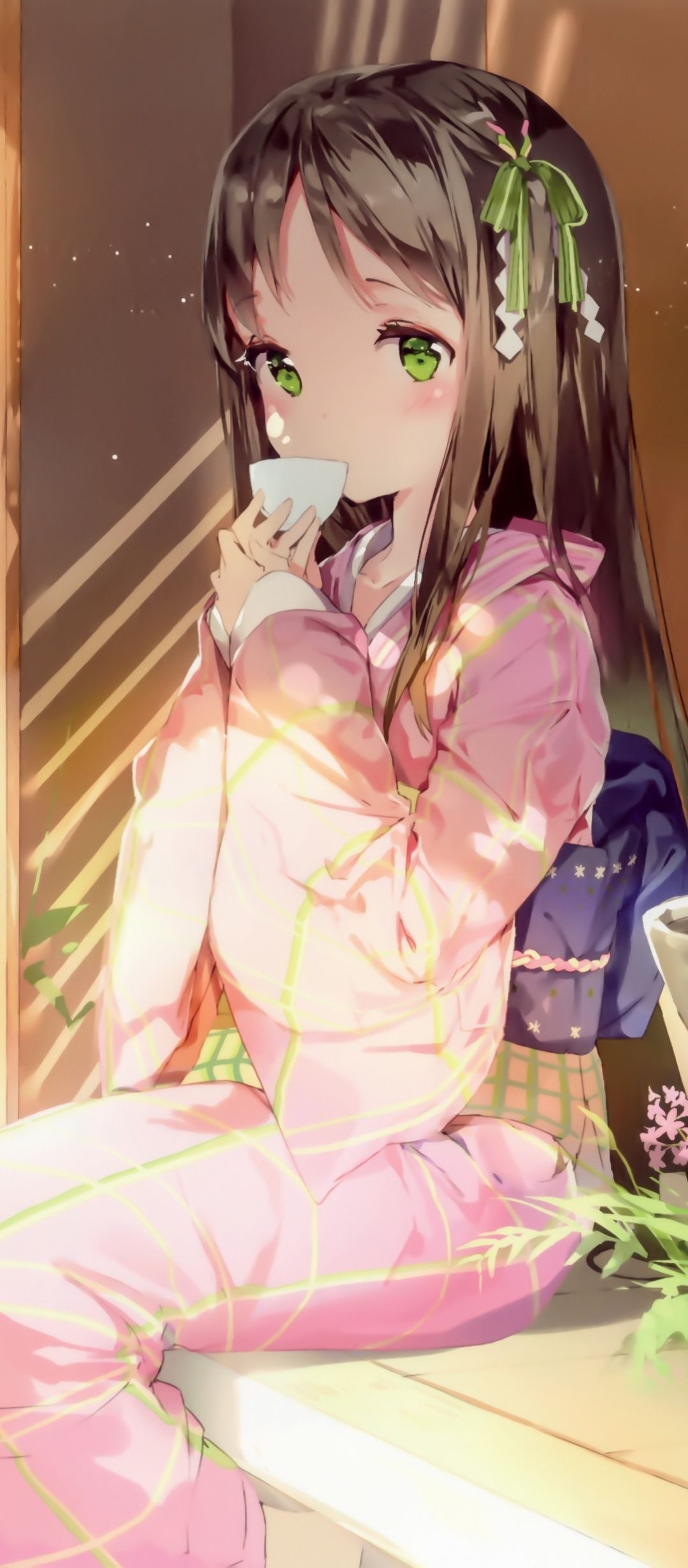 1080x2460 Phone Wallpaper