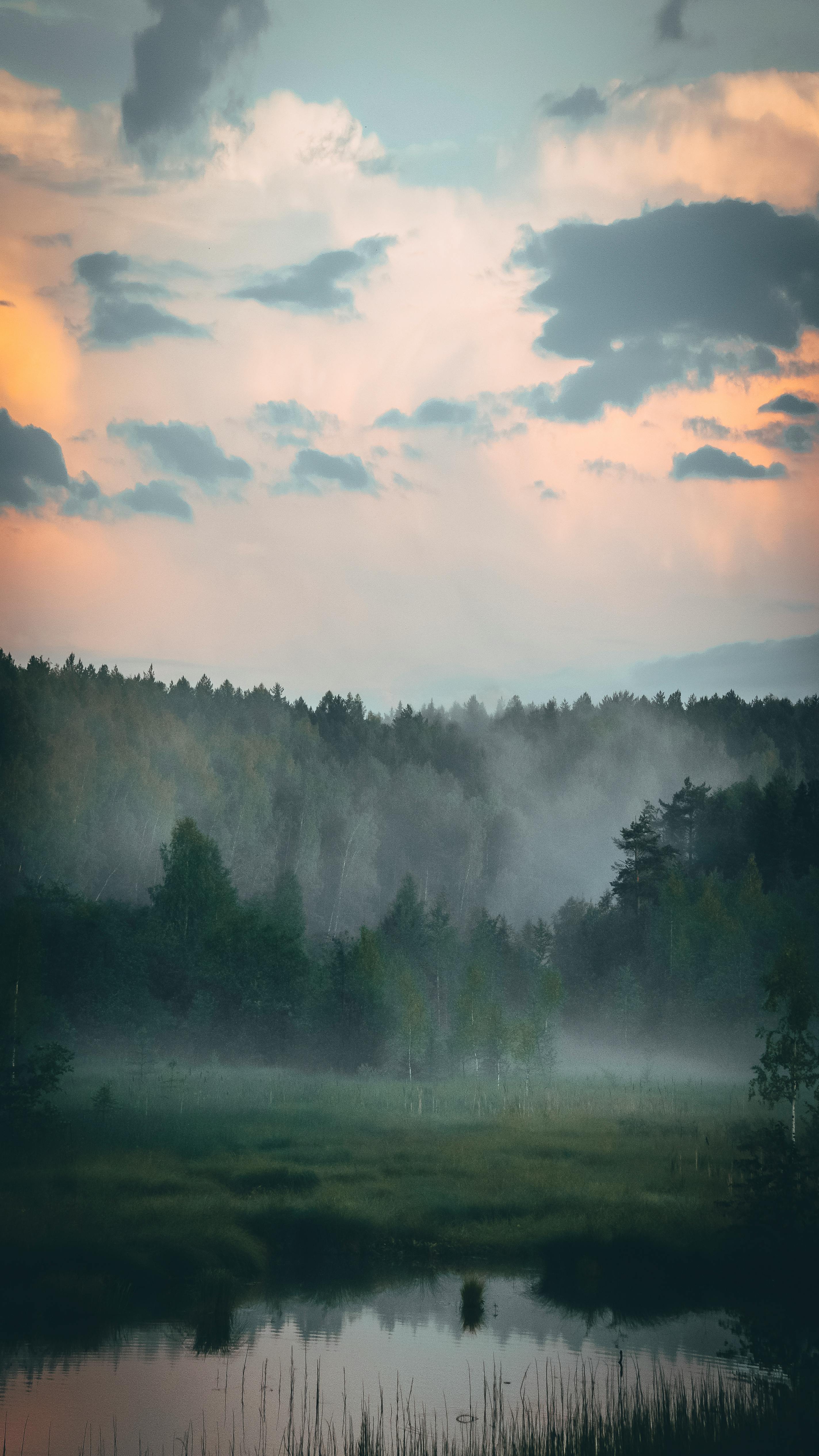 2848x5063 Vertical Wallpaper Photo, Download The BEST Free Vertical Wallpaper & HD Image