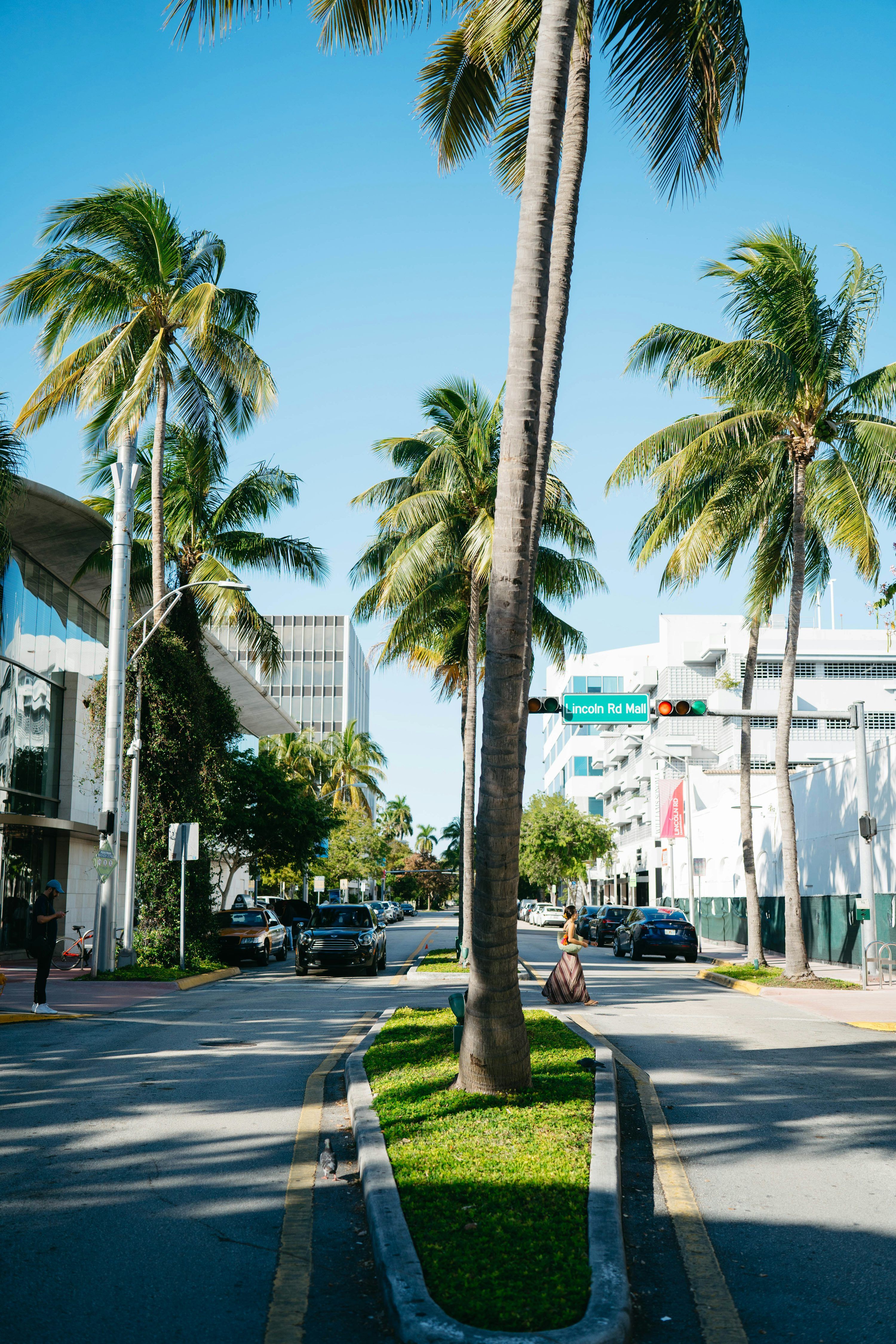 3000x4500 Miami Street Picture. Download Free Image
