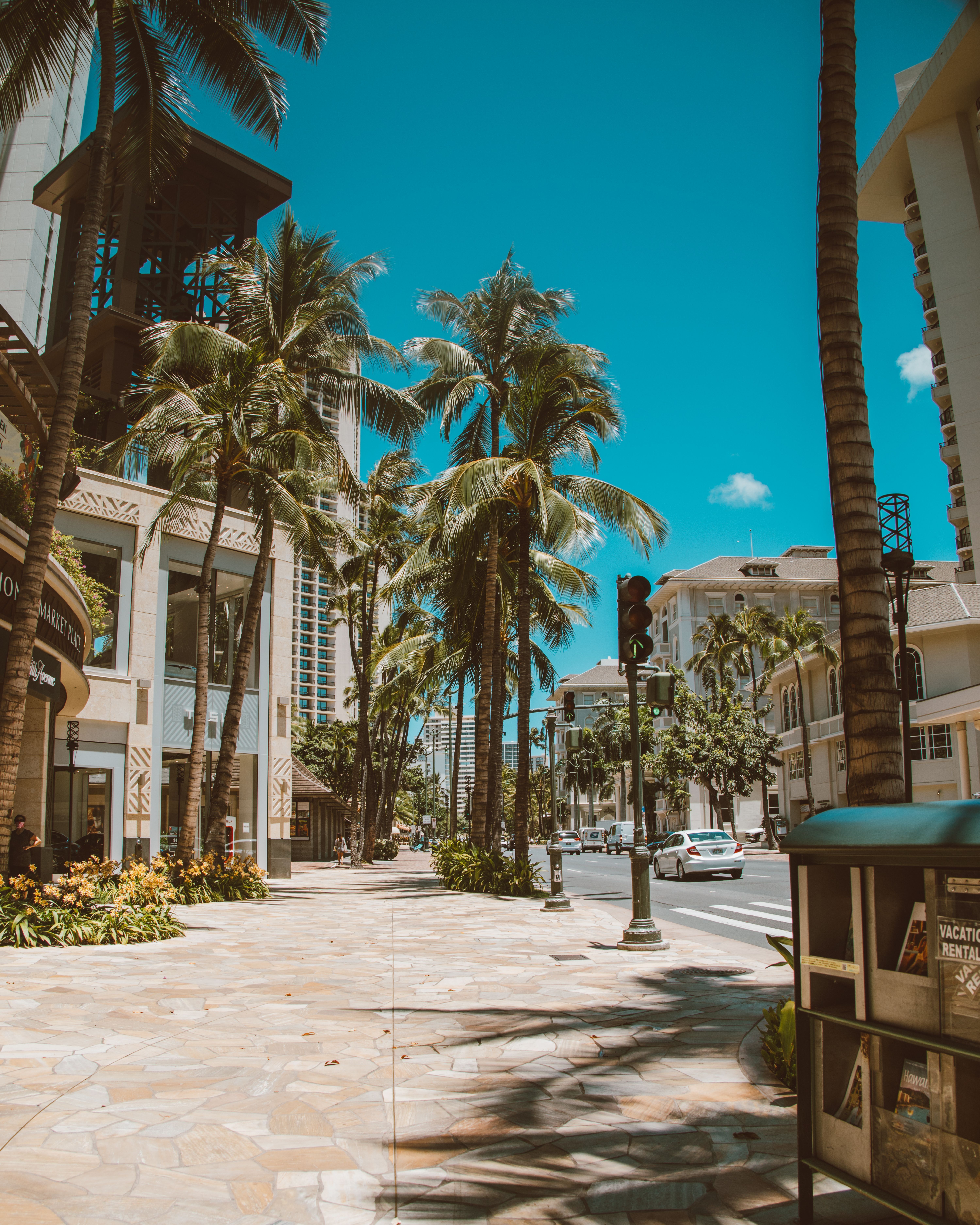 6000x7500 Sunny Palm Lined Street At Lincoln Road Intersection · Free