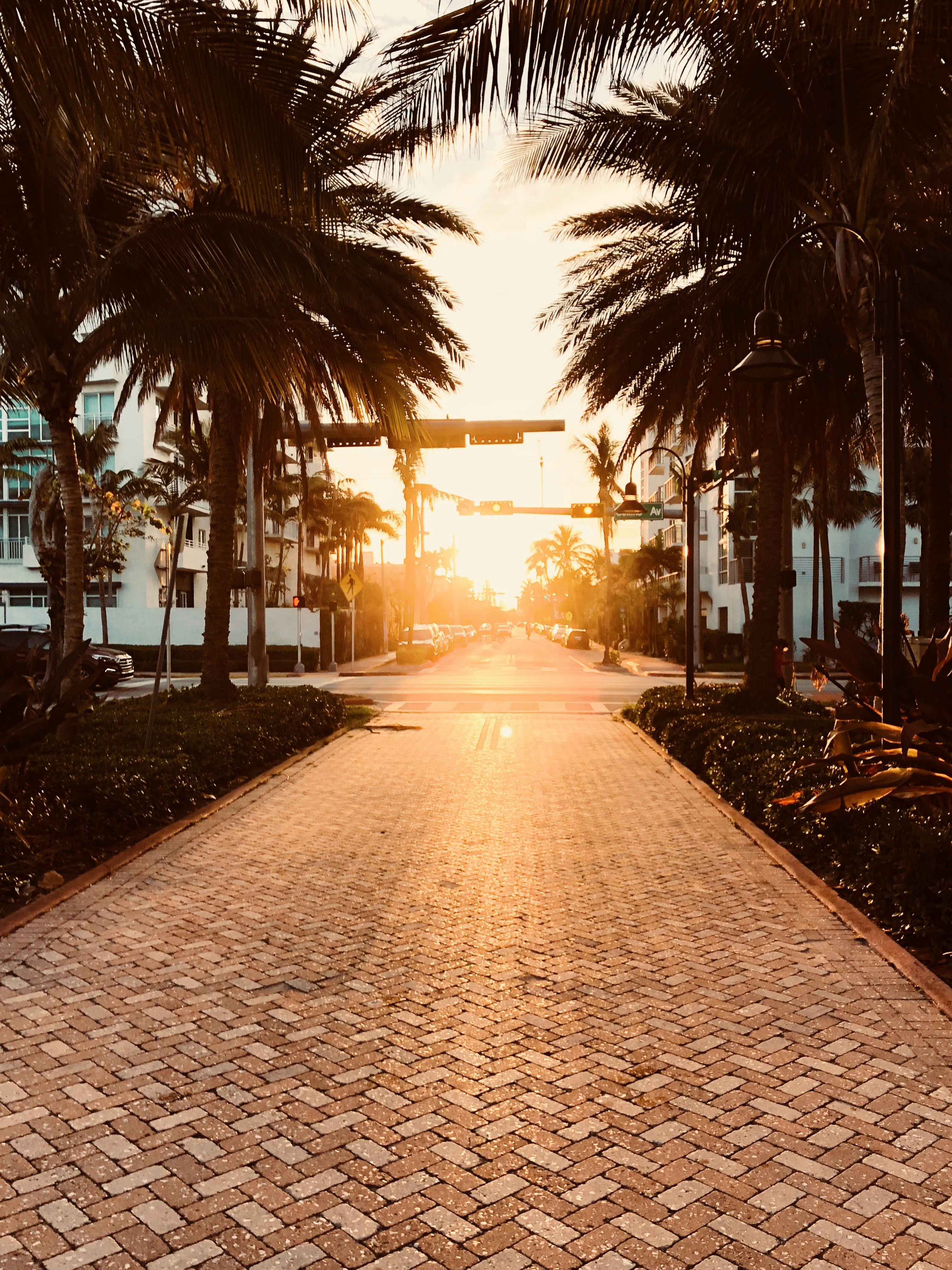 3024x4032 Apple Store Miami official wallpaper downloads