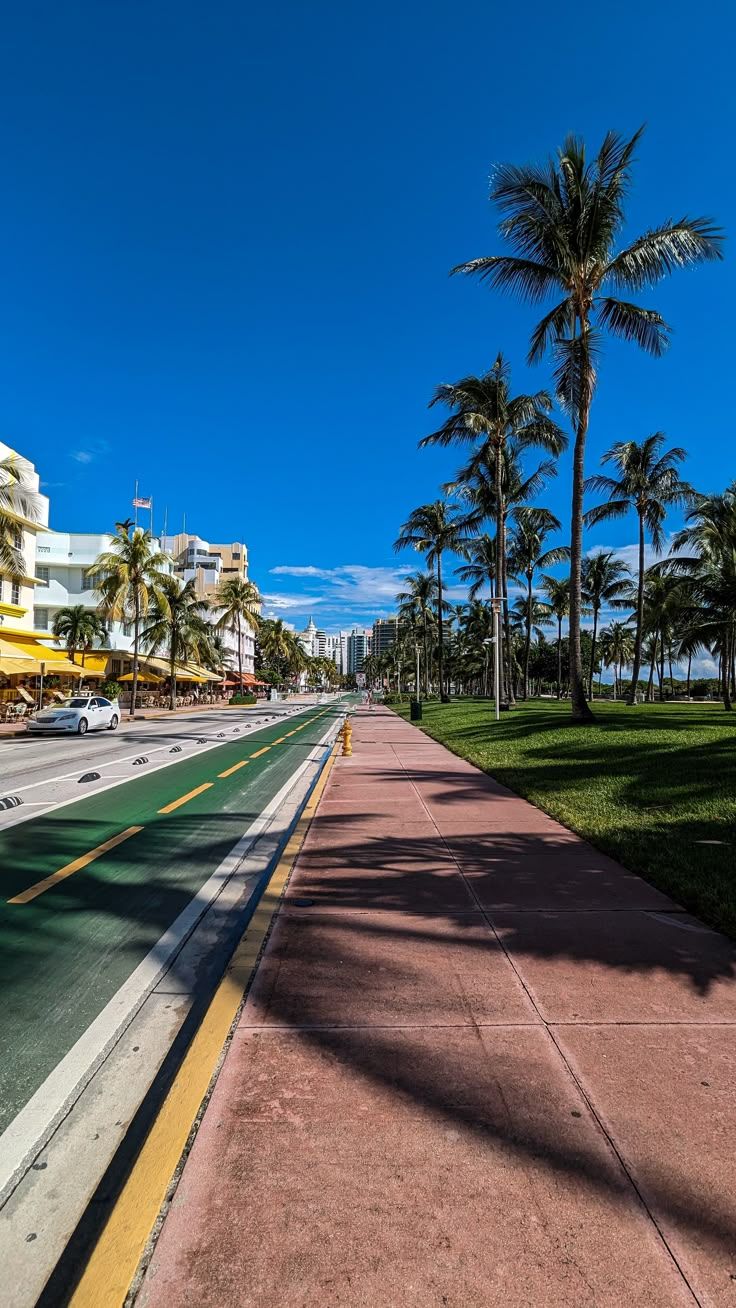 736x1308 Miami beach, Florida