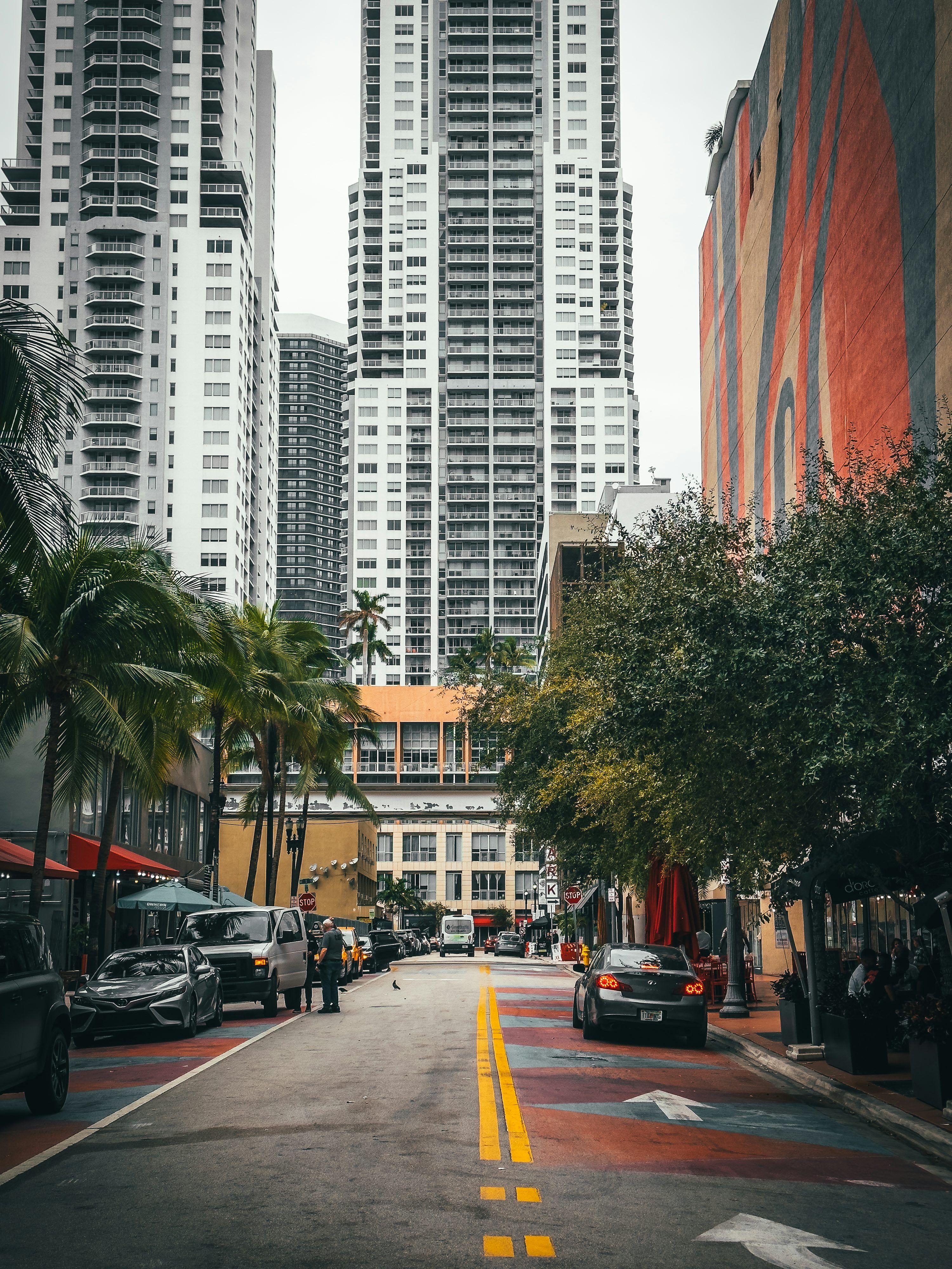 3000x4000 A city street lined with tall buildings and palm trees photo