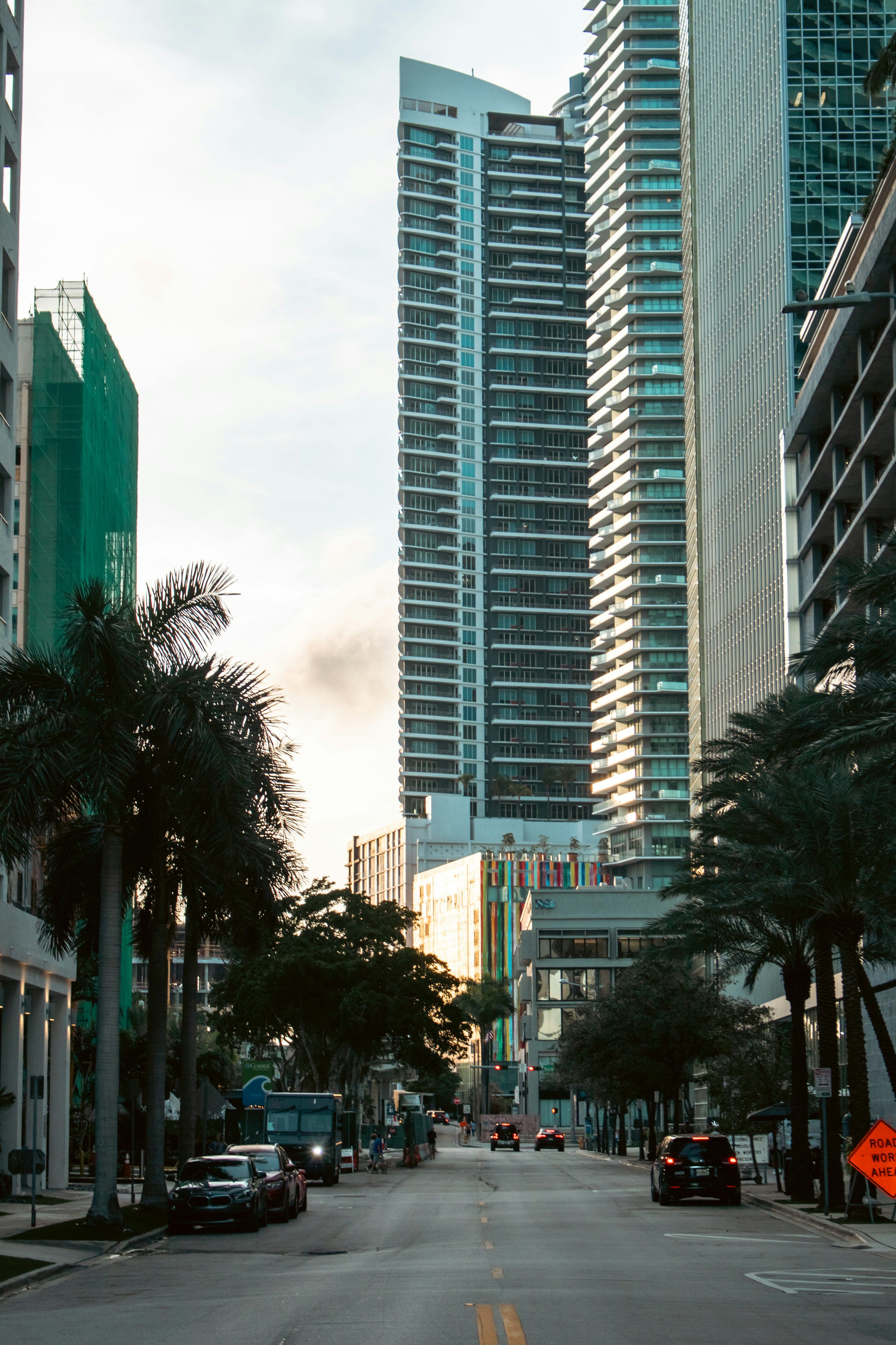 3000x4500 City street lined with palm trees and skyscrapers. photo