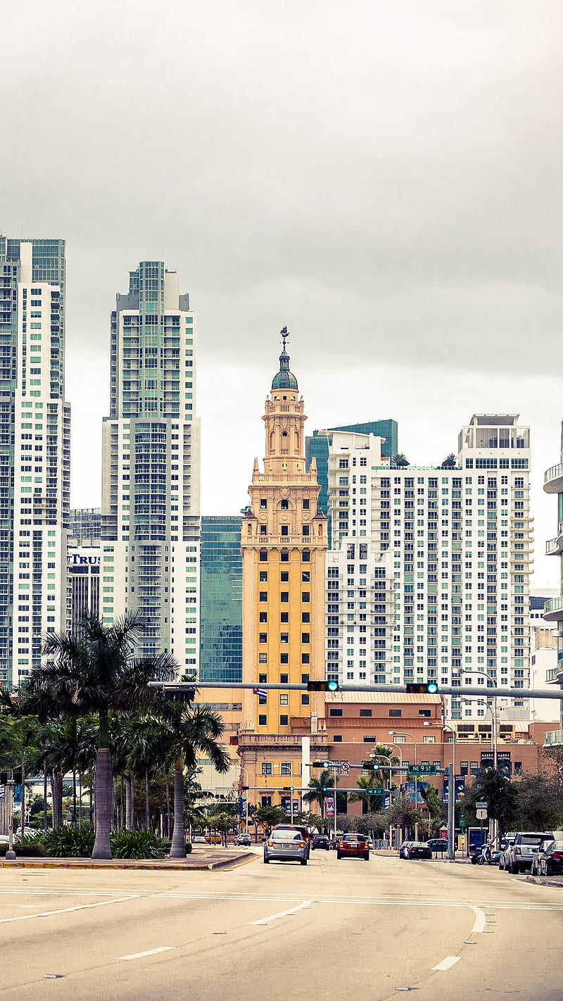 800x1422 Miami Florida, street, usa, day, city, america, HD phone wallpaper