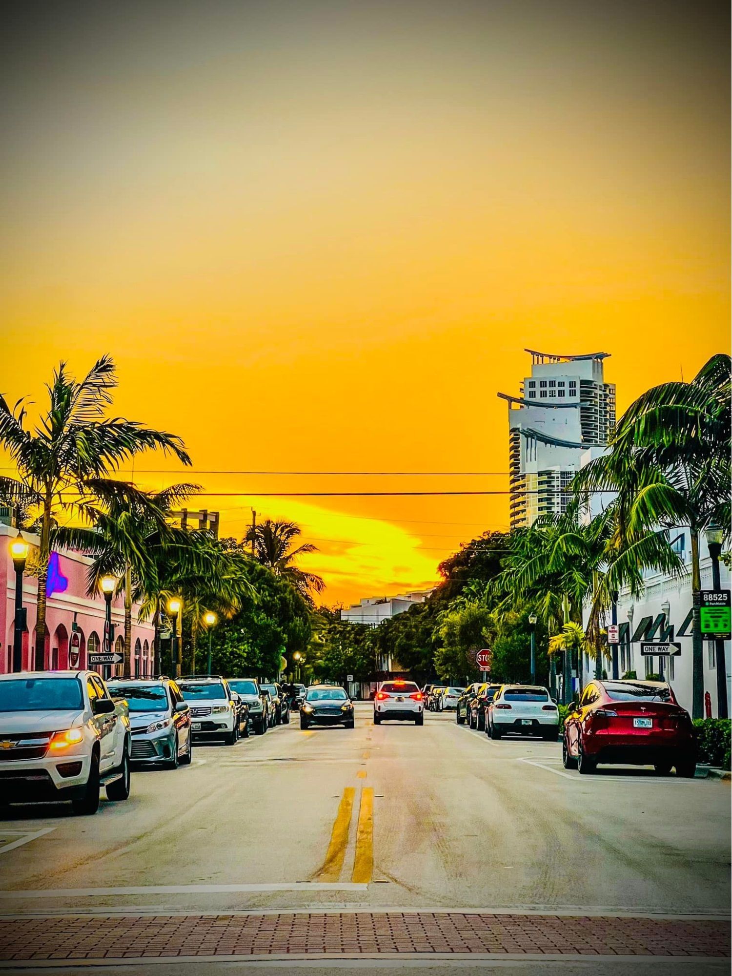 1500x1999 Best Scenic Drives in Miami, South Florida Sight Tours