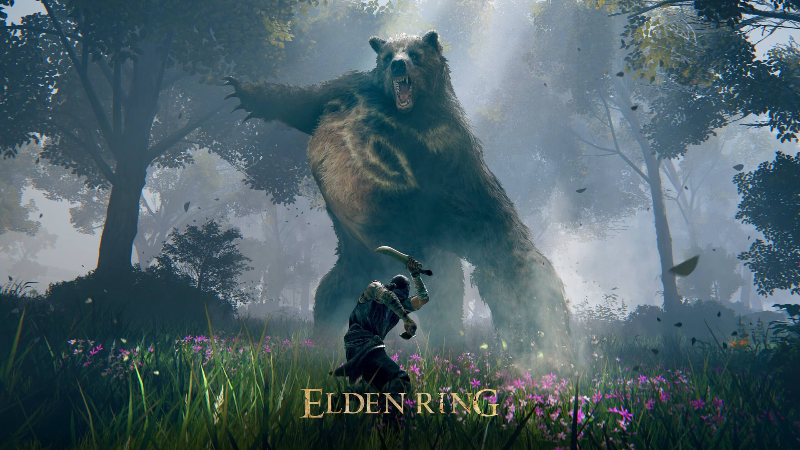 2560x1440 New Elden Ring gameplay footage and 4K screenshots