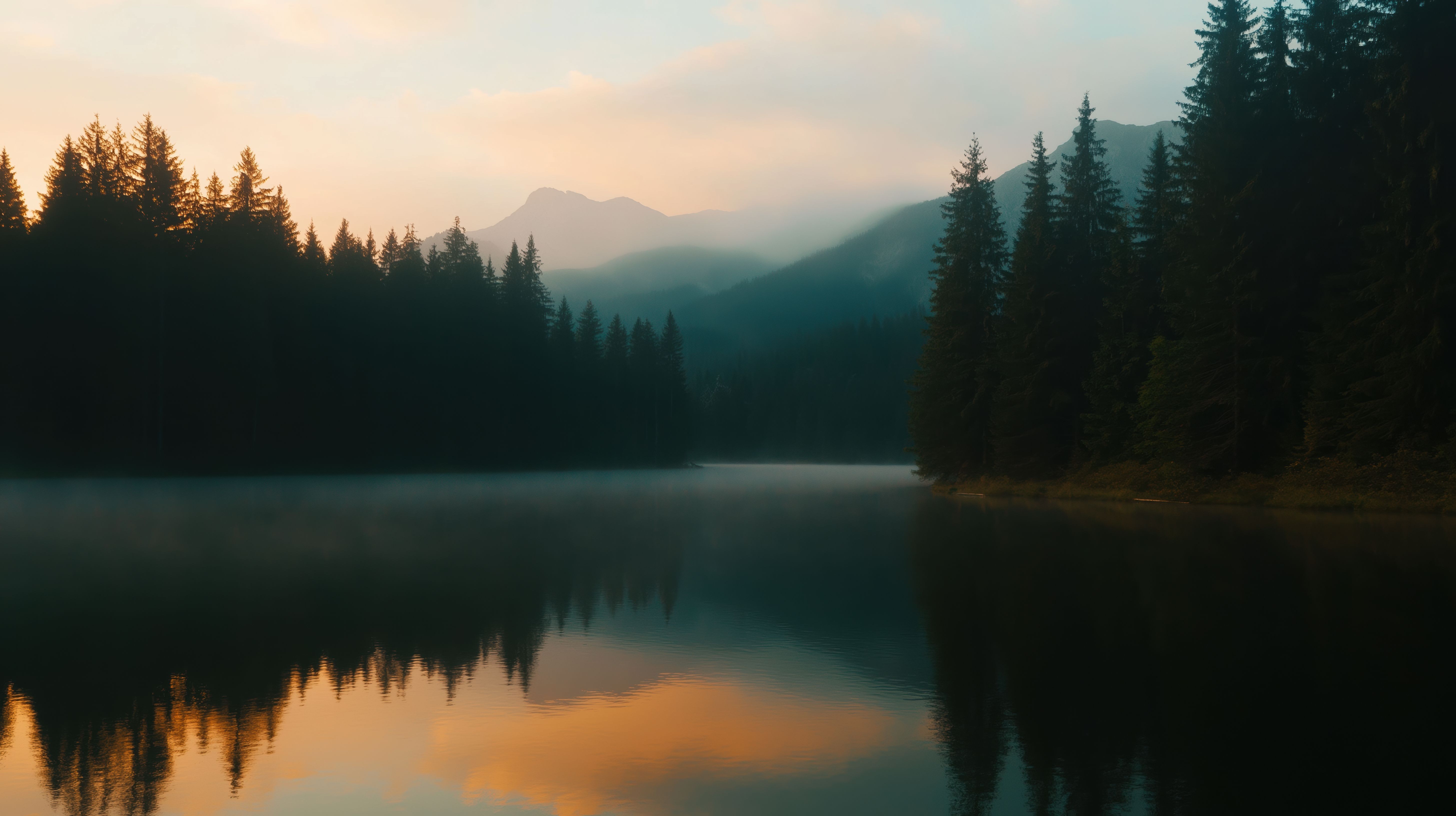 5824x3264 Amidst Nature Image. Free Image, Background and Wallpaper