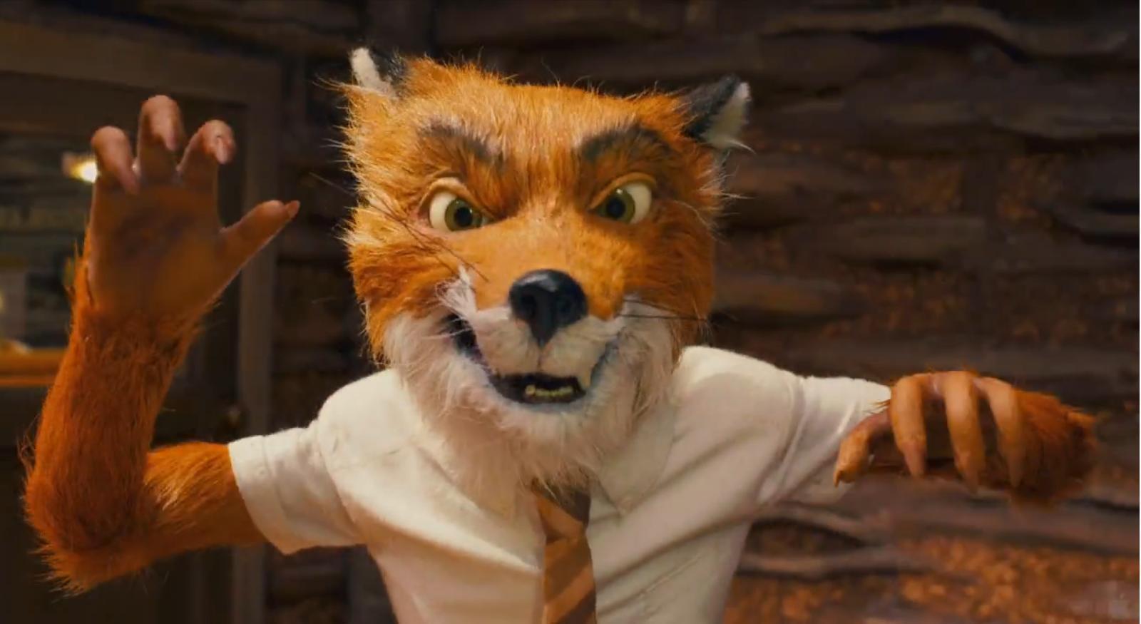 1600x875 the fox Mr. Fox Photo