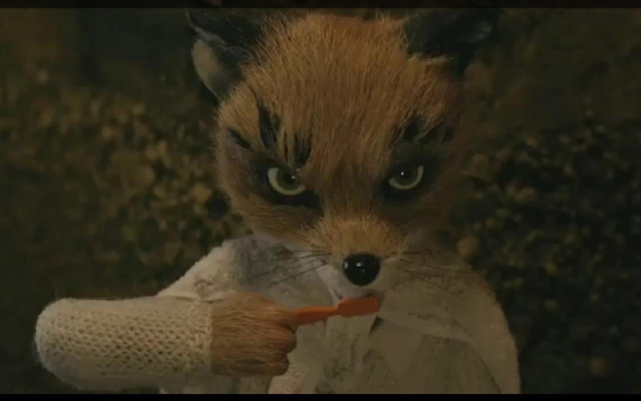 1280x800 Fox in Socks Background. Cute Fox