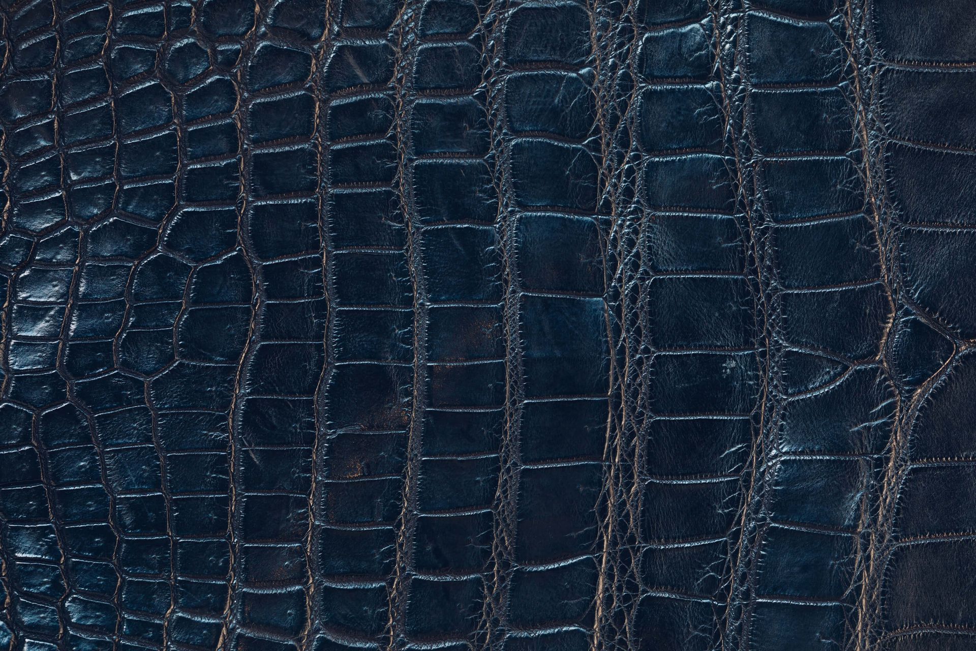 1920x1280 Shiny crocodile skin