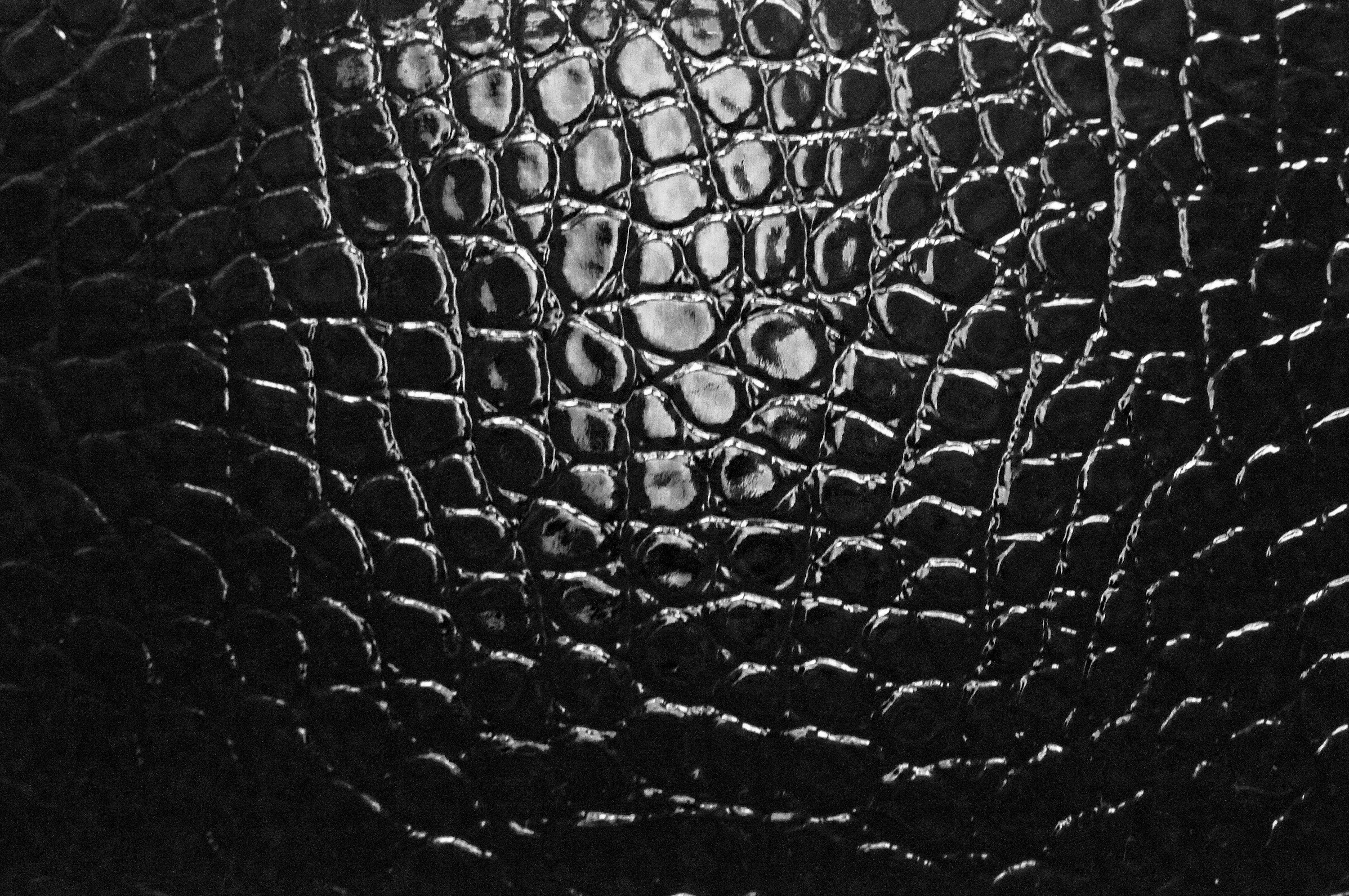 3000x1993 Crocodile Leather Picture. Download Free Image