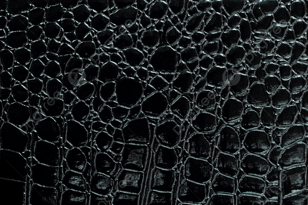 1200x800 Crocodile Leather Crocodile Texture Frame Photo, Crocodile, Texture, Frame Background Image And Wallpaper for Free Download