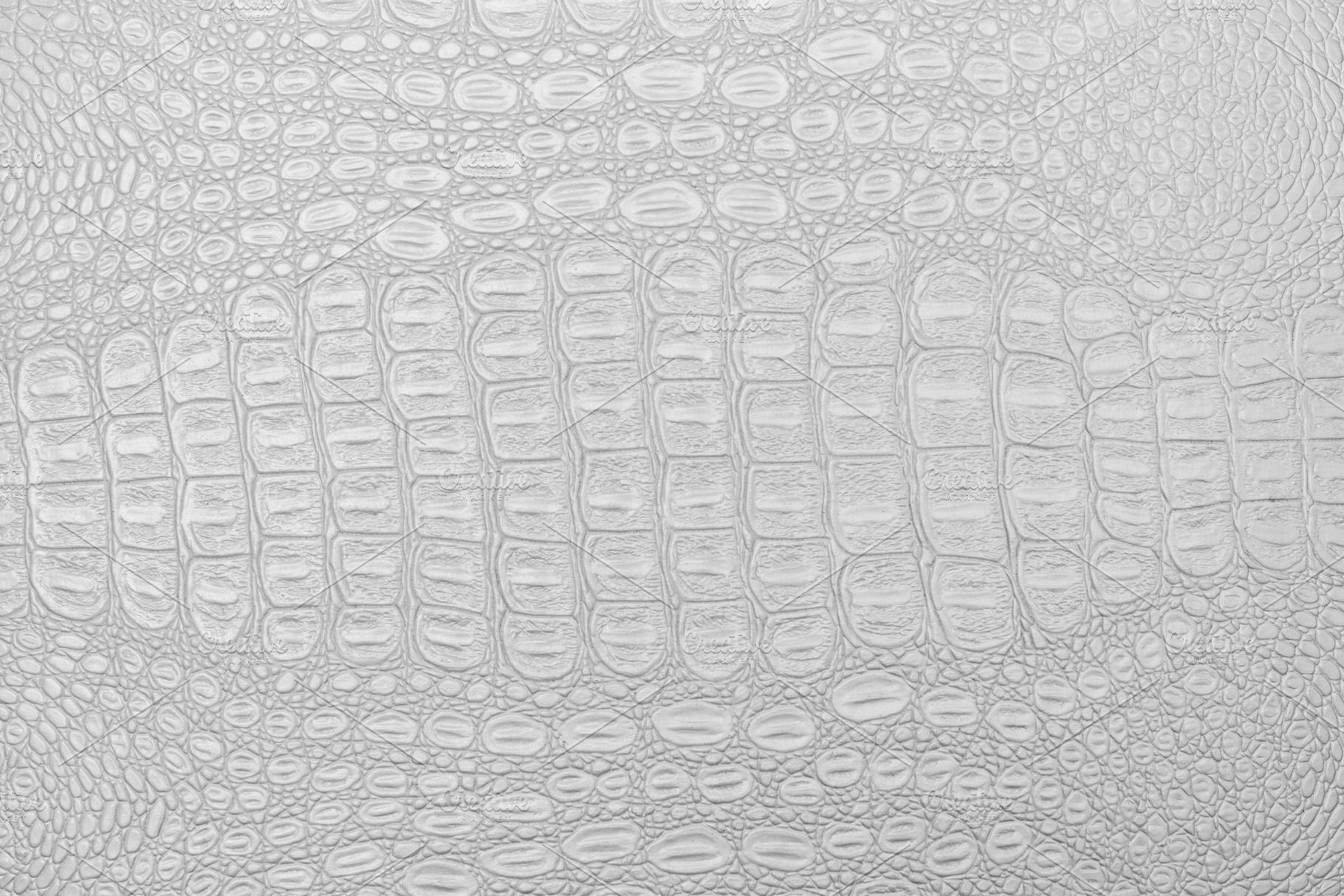 1820x1214 White crocodile leather texture featuring crocodile, leather, and white, an Abstract Photo