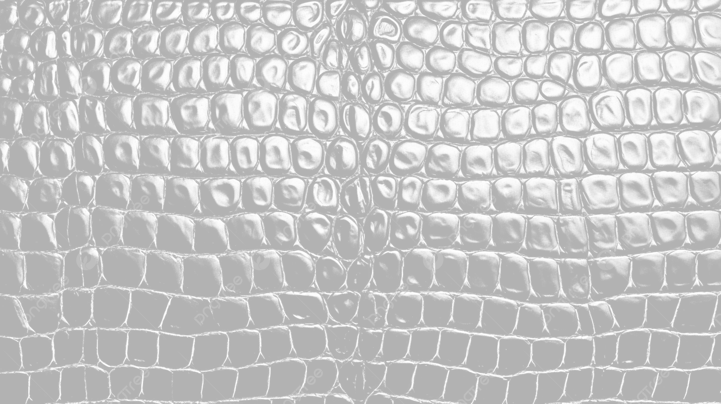 2500x1401 Textured Crocodile Leather PNG Transparent Image Free Download