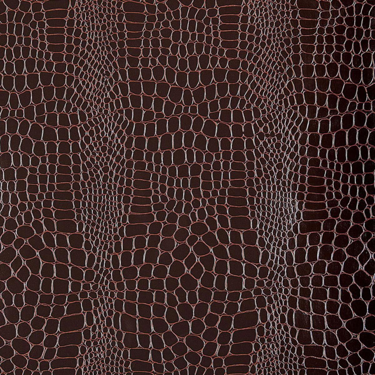 1200x1200 Crocodile