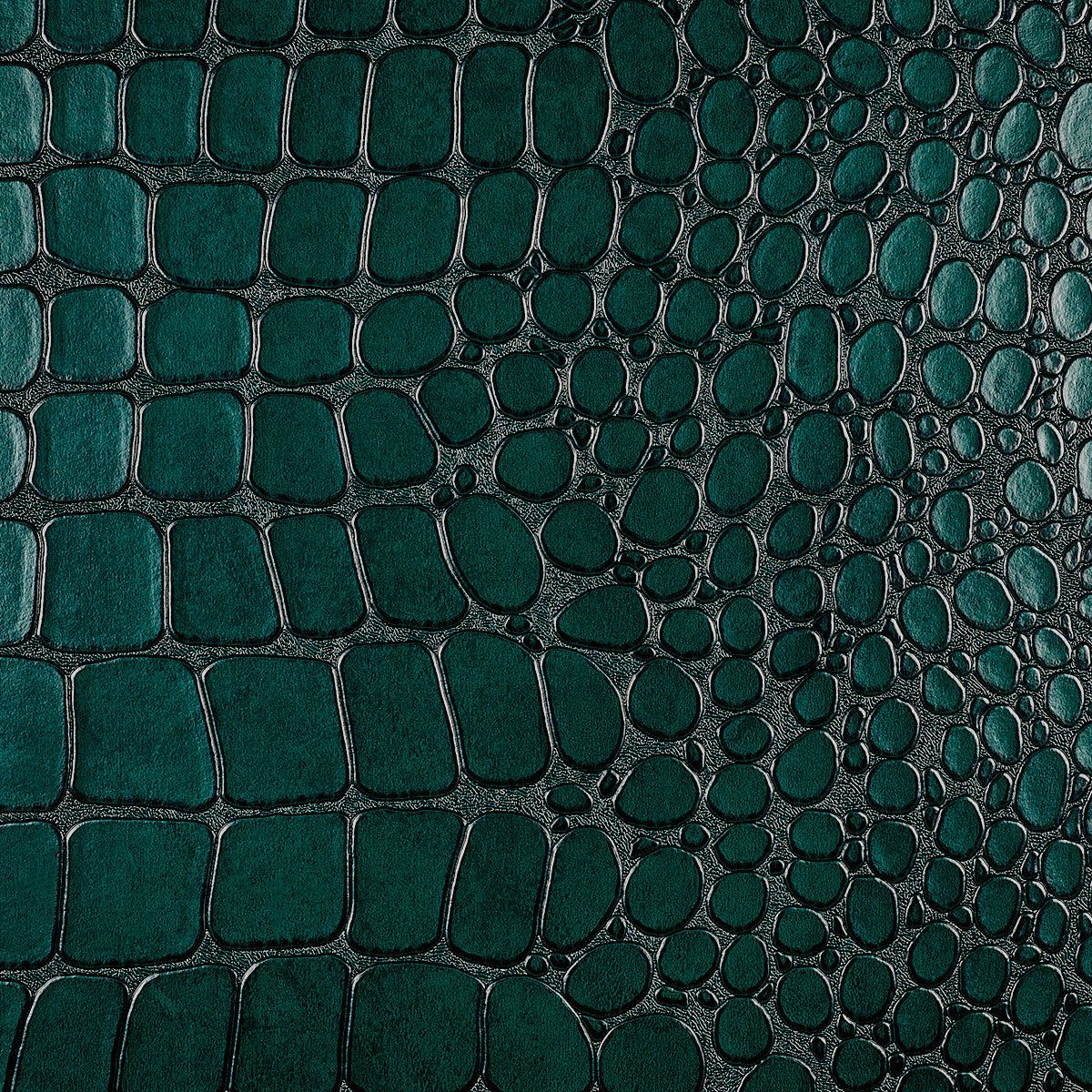 1200x1200 Vinyl Crocodile Rock, Everglades Jeffries Wallpaper
