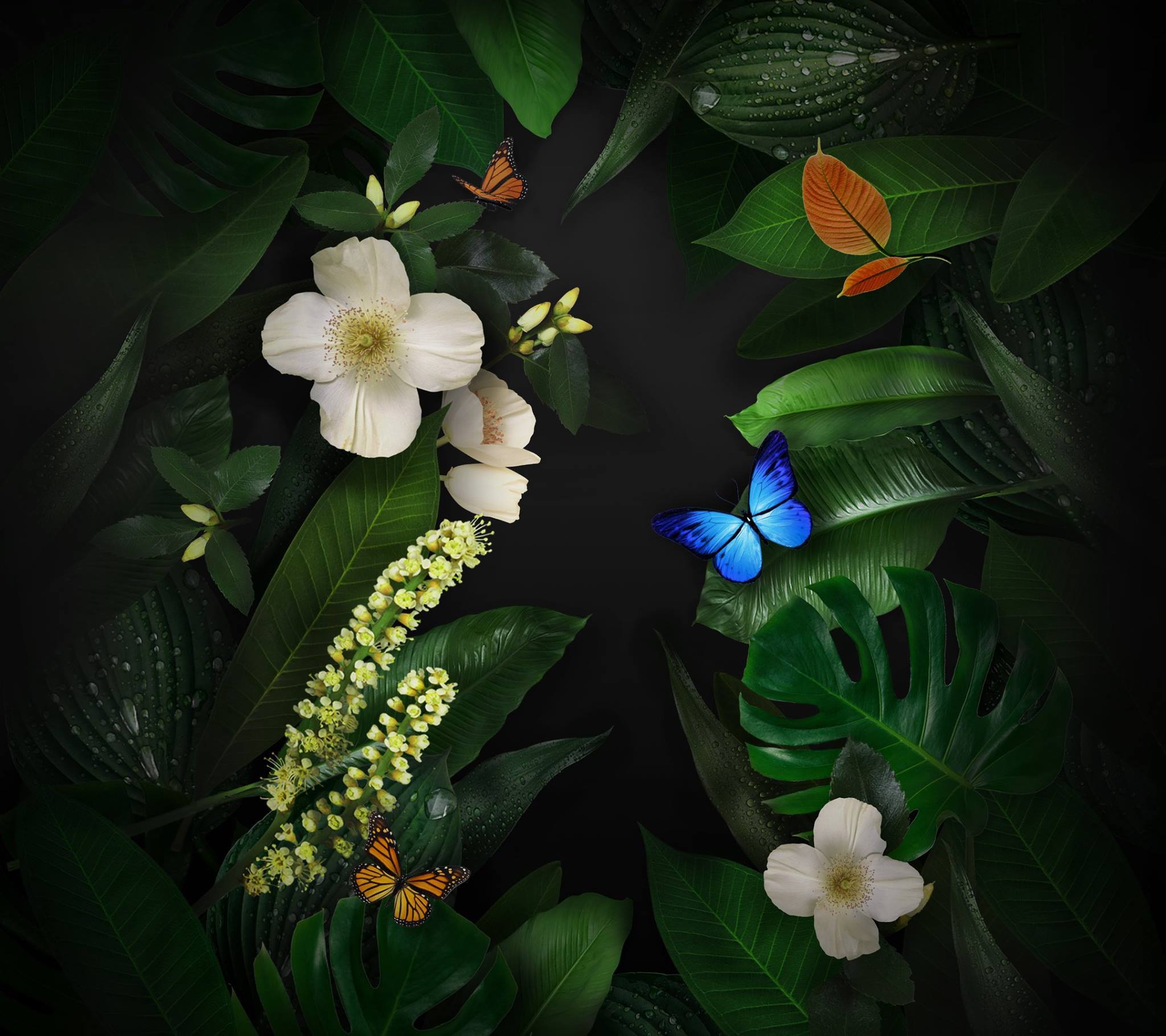 2048x1820 Huawei Mate 10 Pro Stock Wallpaper 1